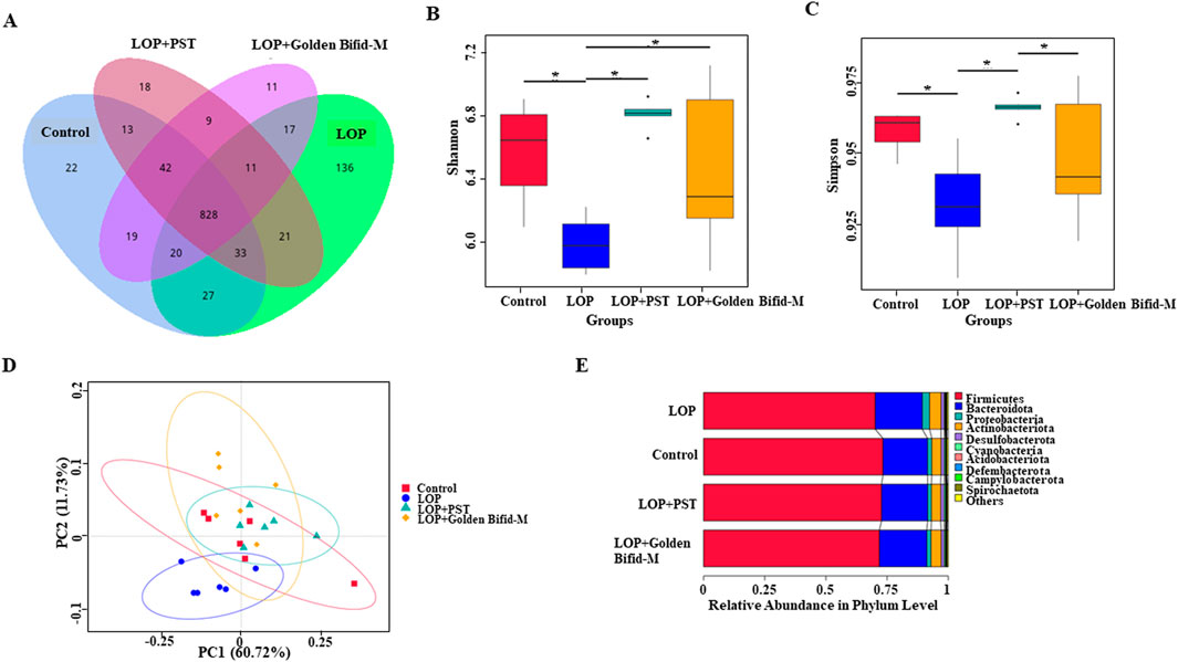 Venn diagram, box plots, principal component analysis scatter plot, and bar graph depicting microbiome data. (A) Venn diagram with four overlapping circles for different groups with numbers indicating shared and unique elements. (B) Box plot showing Shannon index for four groups, displaying statistical differences. (C) Box plot showing Simpson index with statistical differences marked. (D) Scatter plot with four groups, using principal component axes with confidence ellipses. (E) Stacked bar graph showing relative abundance of different bacterial phyla across four groups, labeled with colors representing various bacteria.