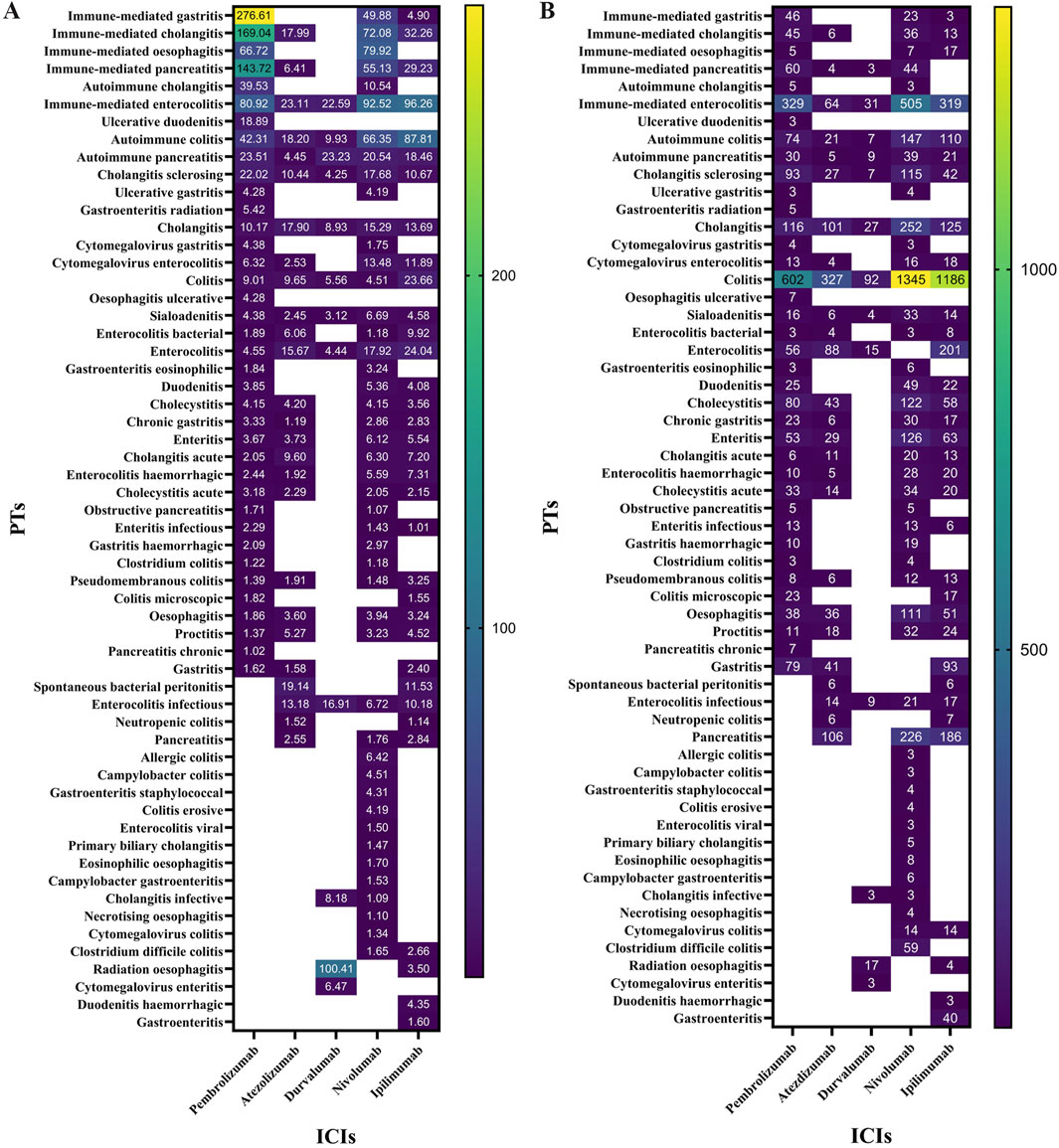 Two heatmaps labeled A and B compare the incidence rates of various gastrointestinal-related potential toxicities (PTs) across different immune checkpoint inhibitors (ICIs). Each row represents a PT, and the color intensity indicates the frequency of cases, with specific numeric values displayed inside each cell. The left map (A) shows values ranging up to 279, while the right map (B) displays higher incidences, with values up to 1345. Both maps categorize ICIs into subclasses displayed at the bottom, with visible color gradients alongside each map indicating numerical scales.