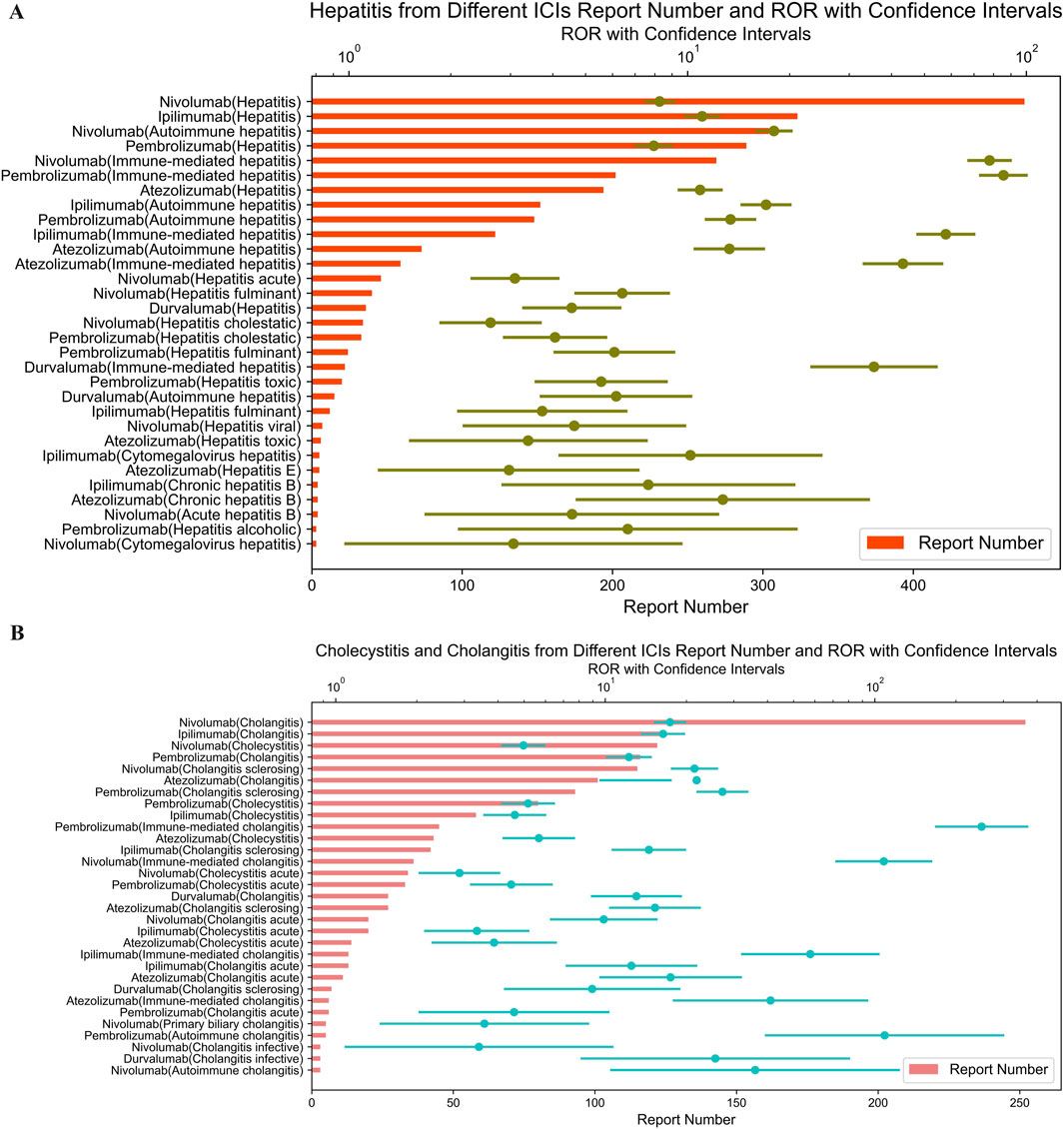Two horizontal bar charts show the report numbers and RORs with confidence intervals for adverse events related to immune checkpoint inhibitors (ICIs). Chart A depicts hepatitis with red bars and green dots, while Chart B shows cholecystitis and cholangitis with pink bars and blue dots. Report numbers are on the x-axis, and drug-event combinations are on the y-axis.