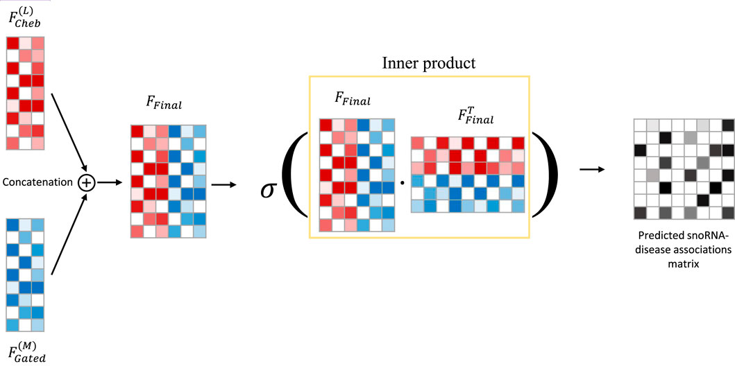 Flowchart illustrating a process for predicting snoRNA-disease associations. Two matrices, \( F_{Cheb}^{(L)} \) and \( F_{Gated}^{(M)} \), are concatenated to form \( F_{Final} \). An inner product of \( F_{Final} \) and its transpose is taken, followed by a nonlinear activation function, resulting in the predicted association matrix.