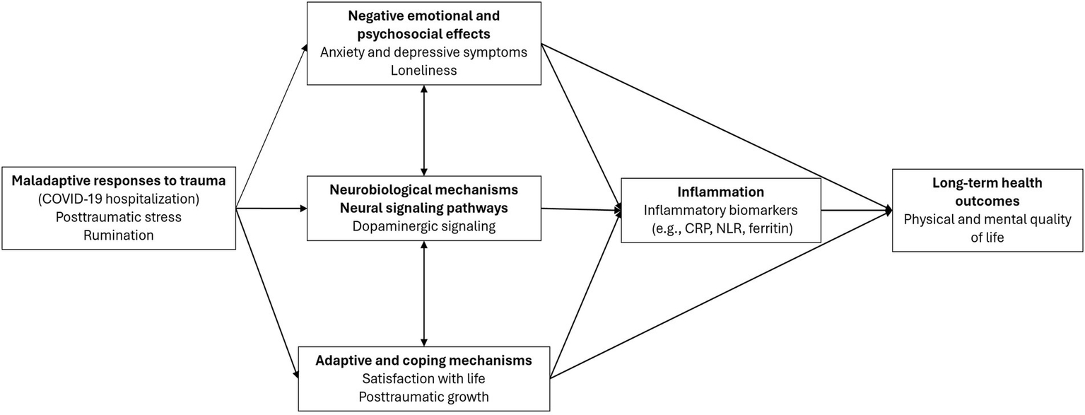 Theoretical model illustrating pathways from maladaptive responses to trauma, including posttraumatic stress and rumination, to long-term physical and mental health outcomes. These pathways are mediated by negative emotional and psychosocial effects (anxiety, depression, loneliness), neurobiological mechanisms including dopaminergic signaling, inflammation, and adaptative and coping mechanisms such as satisfaction with life and posttraumatic growth.