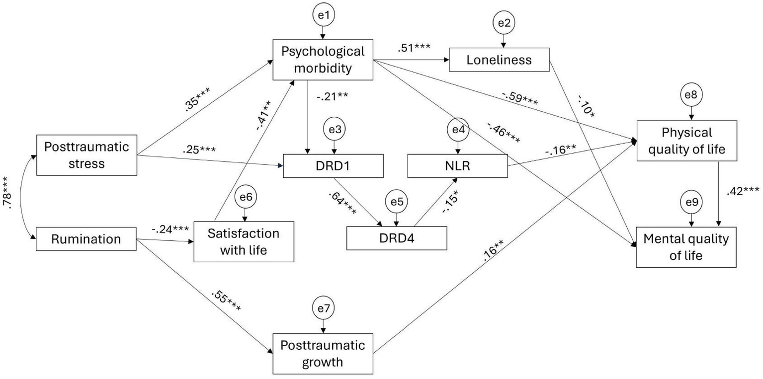 A path analysis diagram showing the final adjusted model. This model includes relationships between posttraumatic stress and both psychological morbidity and DRD1, as well as between rumination and both satisfaction with life and posttraumatic growth. Psychological morbidity is linked to loneliness, DRD1, and physical and mental quality of life. DRD1 is linked to DR4, which is linked to NLR, and NLR is linked to physical quality of life. Loneliness is only linked to mental quality of life. Satisfaction with life is linked to psychological morbidity, while posttraumatic growth is directly linked to physical quality of life, which is linked to mental quality of life. The relationships are indicated by arrows with numerical values denoting the strength and direction of these relationships.