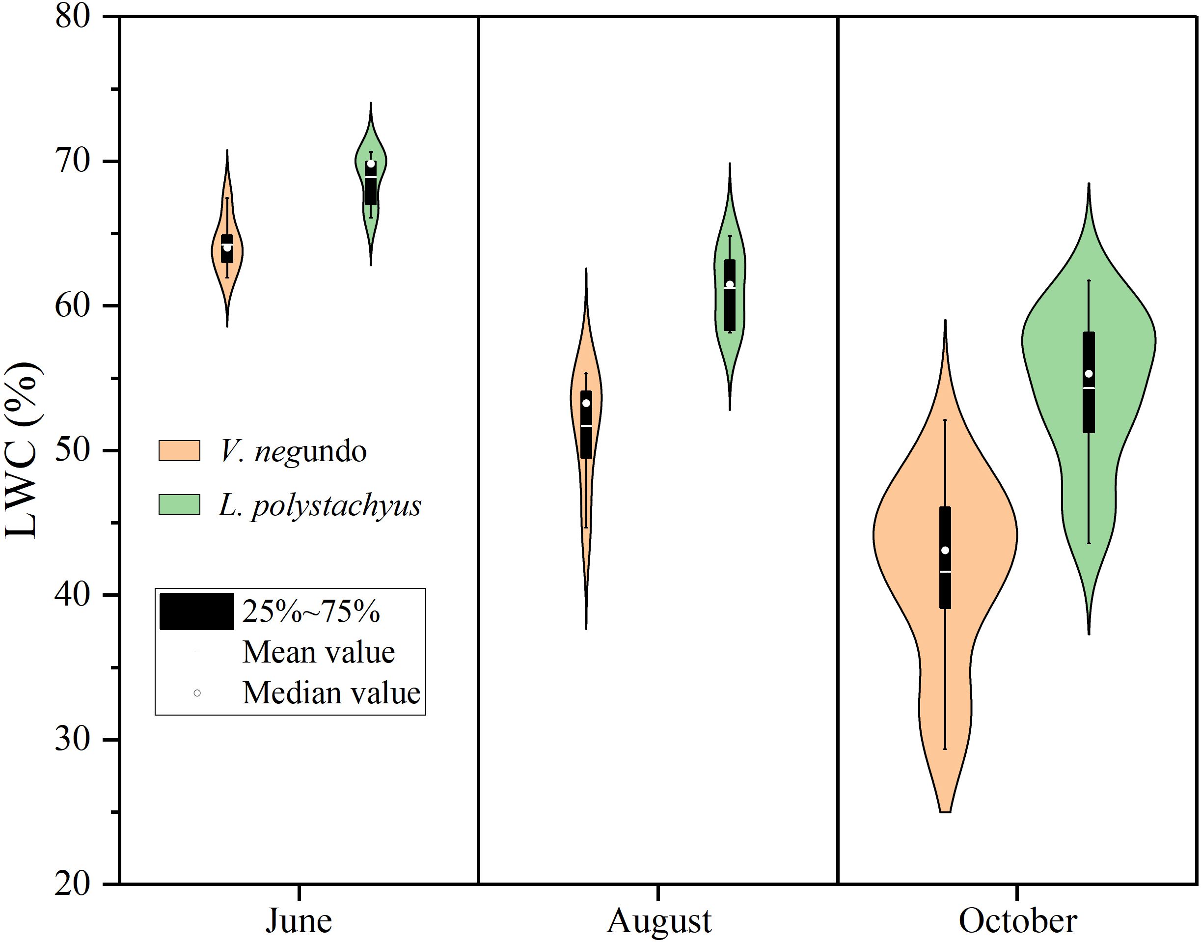 Violin plot compares leaf water content percentage of *V. negundo* and *L. polystachyus* in June, August, and October. Key indicates 25-75% range, mean, and median values. *V. negundo* is shown in orange, *L. polystachyus* in green.