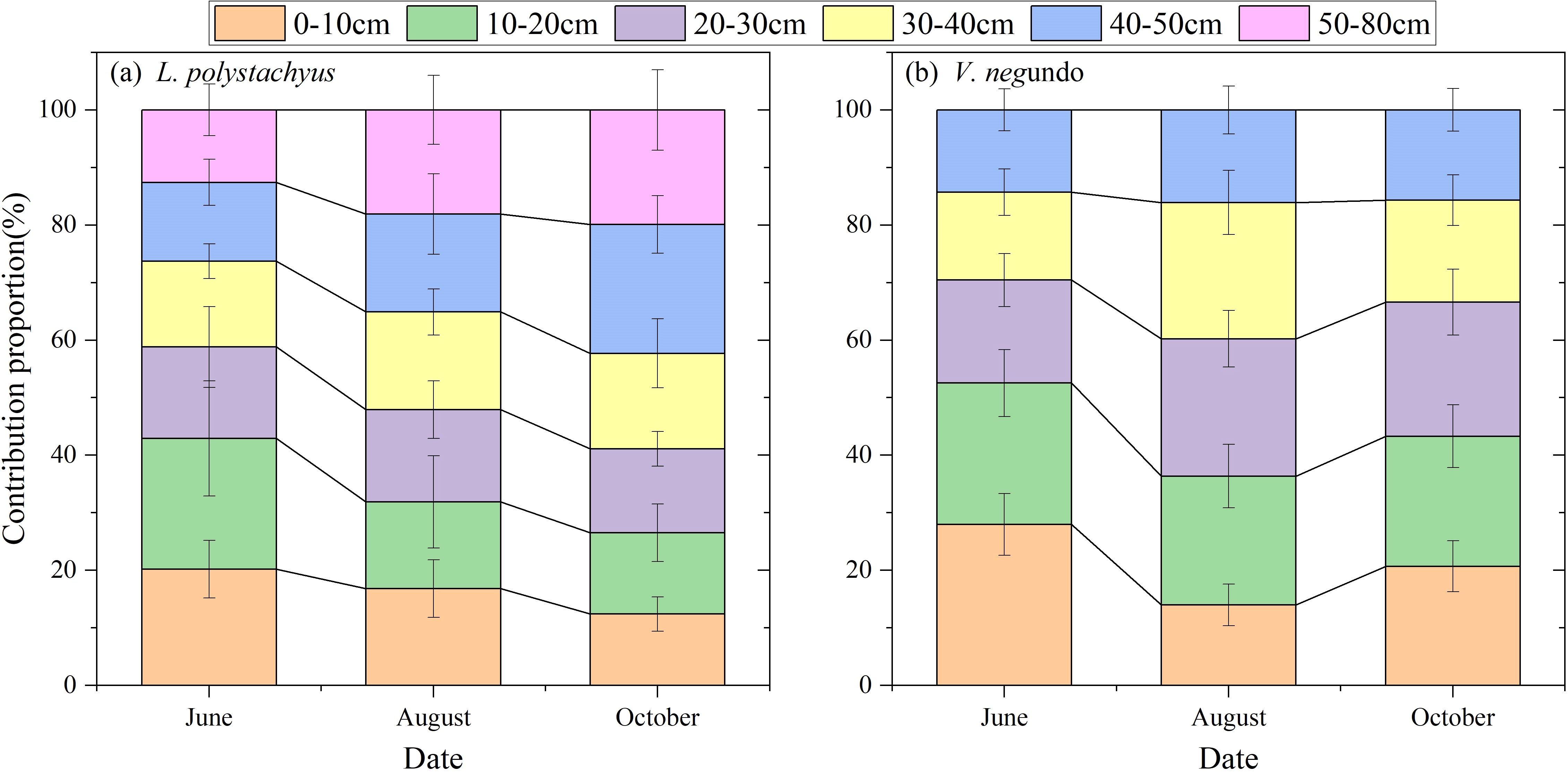Two stacked bar charts compare the contribution proportions of different soil depths for two plant species, L. polystachyus and V. negundo, from June to October. Each color represents a specific soil depth range, with varying proportions shown across the dates. Error bars indicate variability in the data.