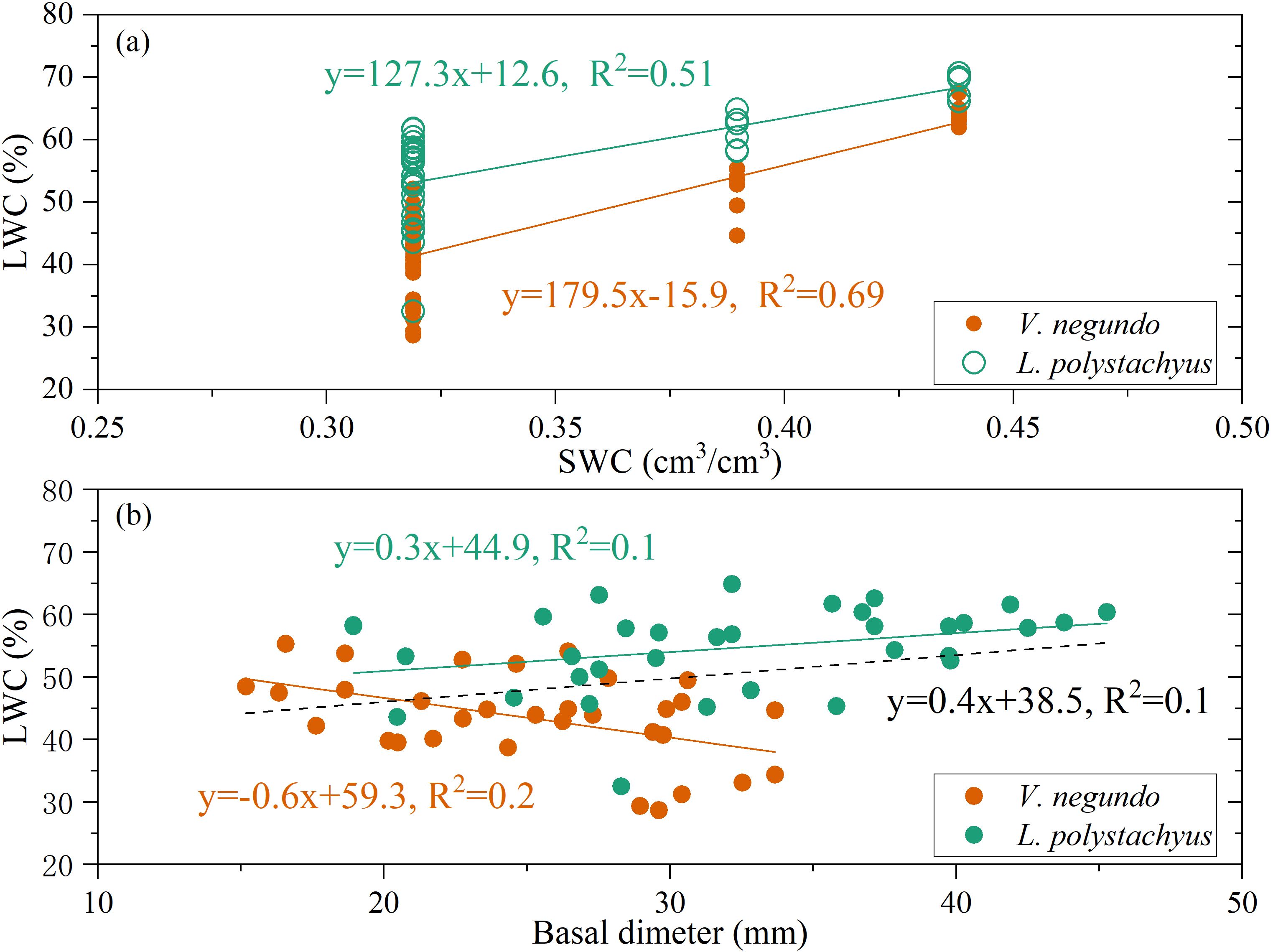 Two scatter plots depict relationships for V. negundo (orange) and L. polystachyus (green). Plot (a) shows Leaf Water Content (LWC) vs. Soil Water Content (SWC) with LWC increasing with SWC. Equations: y=127.3x+12.6, R²=0.51; y=179.5x-15.9, R²=0.69. Plot (b) shows LWC vs. Basal Diameter. Equations: y=0.3x+44.9, R²=0.1; y=-0.6x+59.3, R²=0.2. Both plots include data points and trend lines.