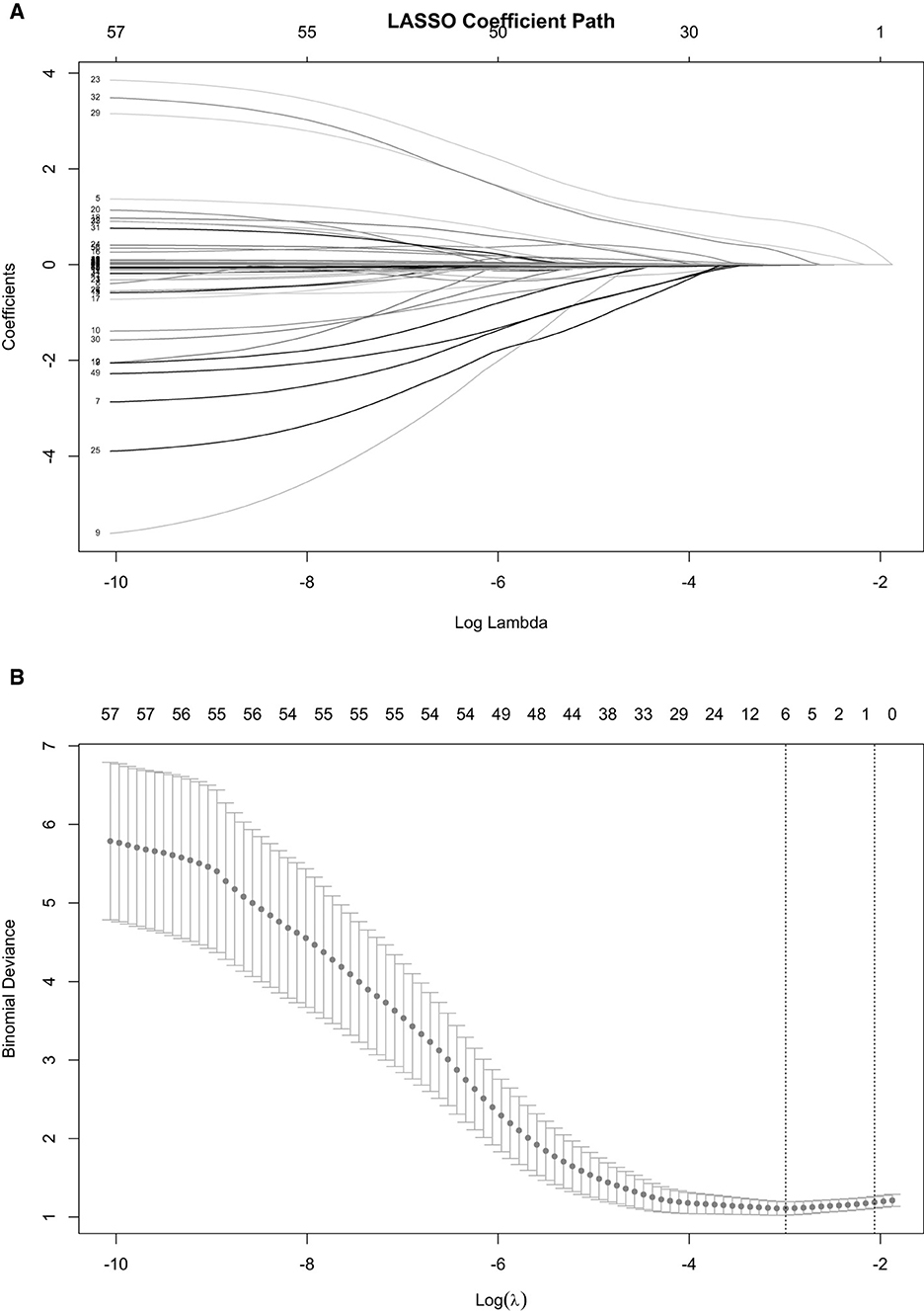 Graphical representation of Lasso regression analysis. Panel A shows the Lasso Coefficient Path with a plot of coefficients against log Lambda, displaying various colored lines converging towards zero as Lambda increases. Panel B illustrates Binomial Deviance against log Lambda, marked by a red dotted line and error bars, showing a decreasing trend until flattening.