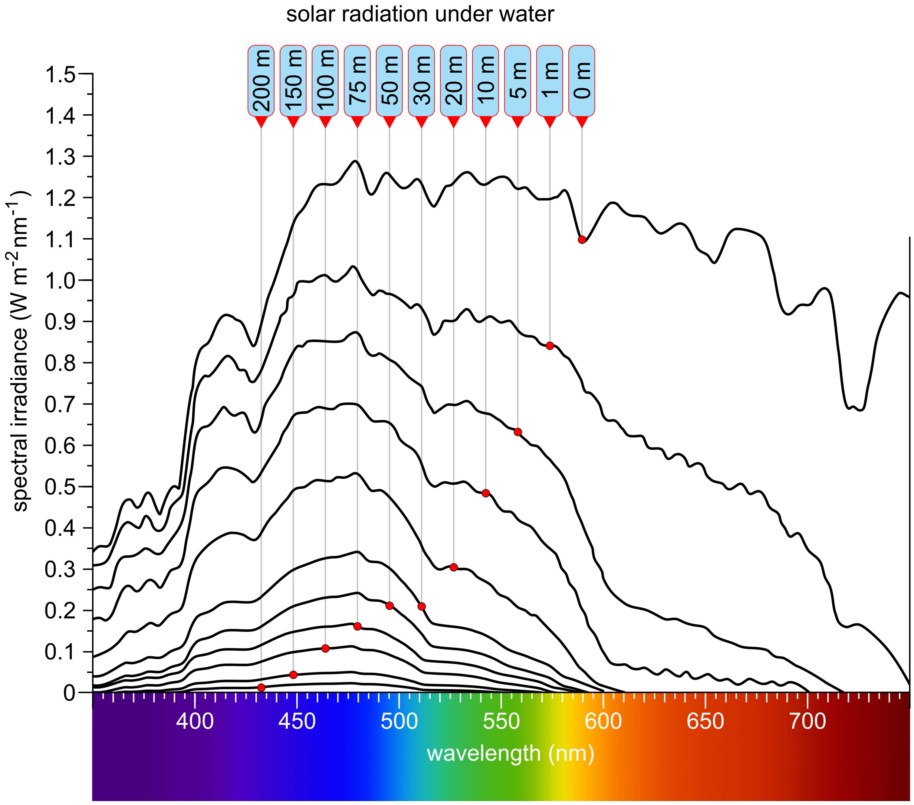 Graph showing spectral irradiance of solar radiation at different depths in clear water, from the surface down to about 200 meters. As depth increases, overall irradiance decreases. Far-red and red wavelengths are absorbed first, followed by orange and yellow; green penetrates deeper, while blue and violet-blue wavelengths reach the greatest depths. At about 200 meters, only 0.1–0.5% of surface light remains.