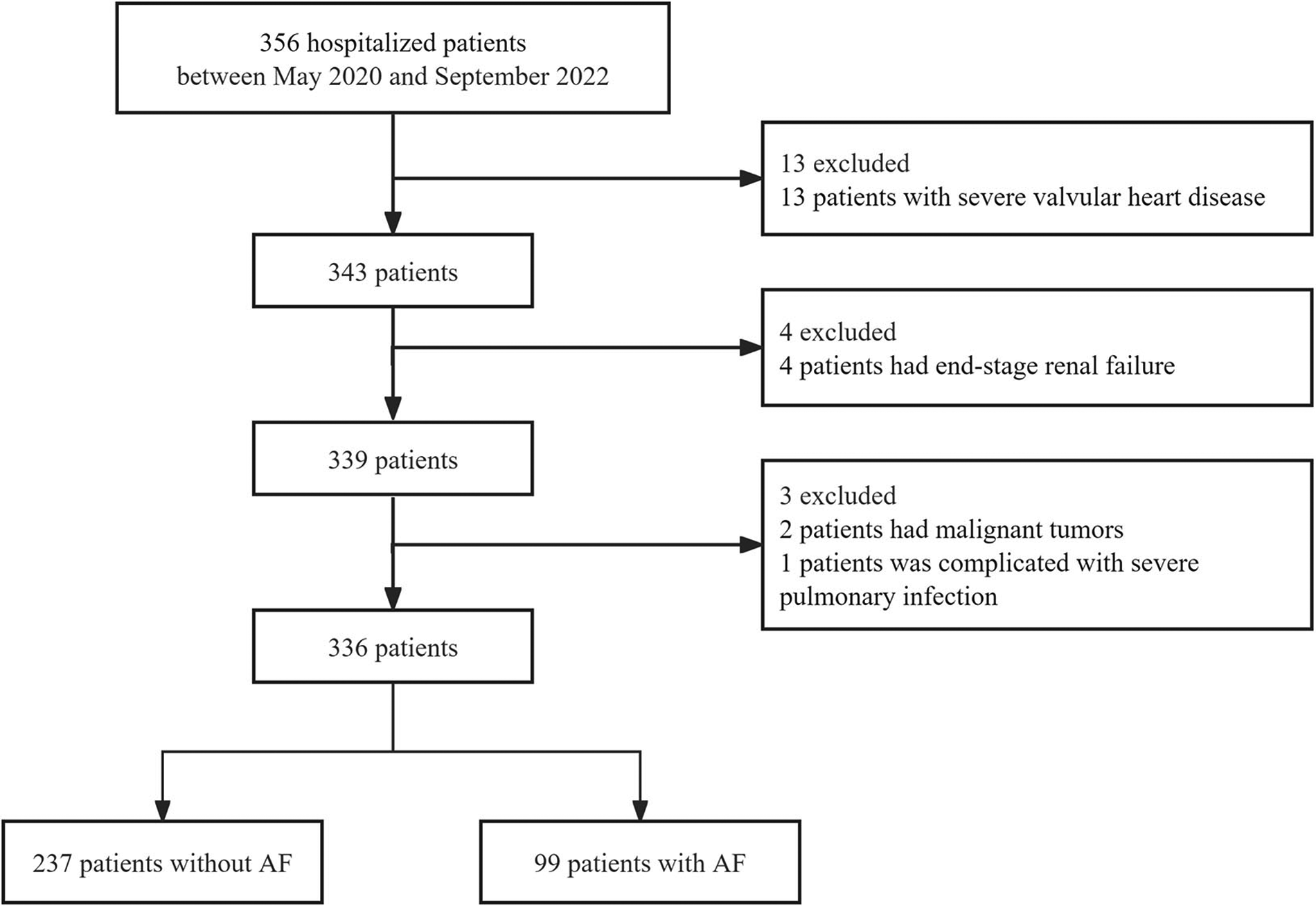 Flowchart analyzing 356 hospitalized patients from May 2020 to September 2022. Initially, 13 patients with severe valvular heart disease were excluded, leaving 343. Next, 4 with end-stage renal failure were removed. Then, 3 with malignant tumors and severe pulmonary infection were excluded. Finally, 336 patients remained, divided into 237 without AF and 99 with AF.