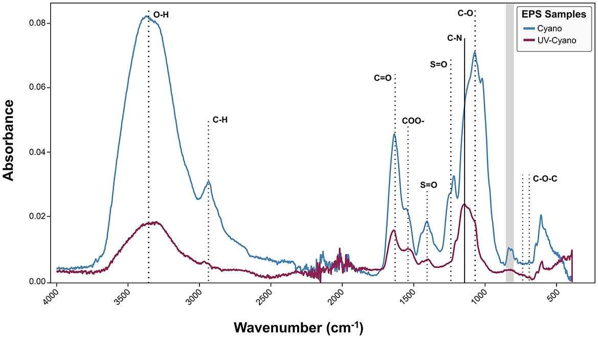 FTIR spectra showing absorbance versus wavenumber for two EPS samples: Cyano and UV-Cyano. Peaks are labeled for various functional groups, such as O-H, C-H, C-O, C-N, C=O, COO-, C-O-C, and S=O. The chart includes distinct blue and red lines for each sample.