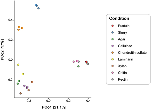 Scatter plot depicting principal coordinates analysis (PCoA) with axes labeled PCo1 at 21.1% and PCo2 at 17%. Dots in various colors represent different conditions: Pustule, Slurry, Agar, Cellulose, Chondroitin sulfate, Laminarin, Xylan, Chitin, and Pectin.
