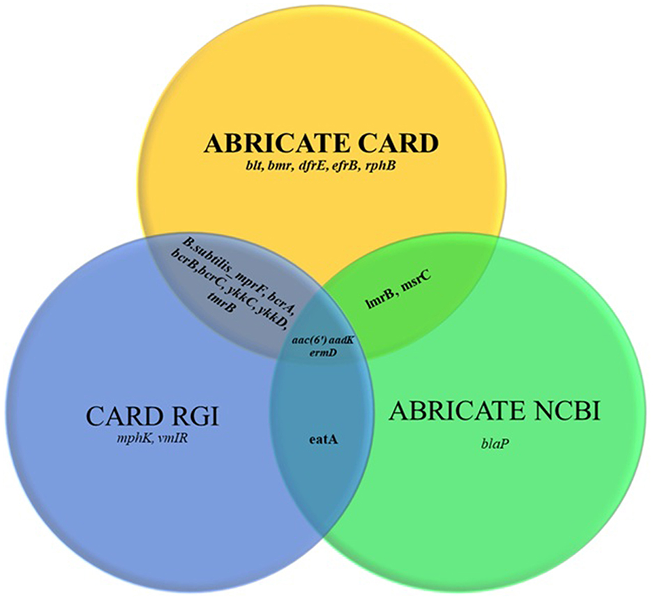 Venn diagram with three overlapping circles, each representing different databases. The yellow circle is labeled “ABRICATE CARD” with entries blt, bmr, dfrE, efrB, rphB. The blue circle is labeled “CARD RGI” with entries mphK, vmlR. The green circle is labeled “ABRICATE NCBI” with entry blaP. Overlap areas show shared entries like lmrB, mprF, ermD, eatA.
