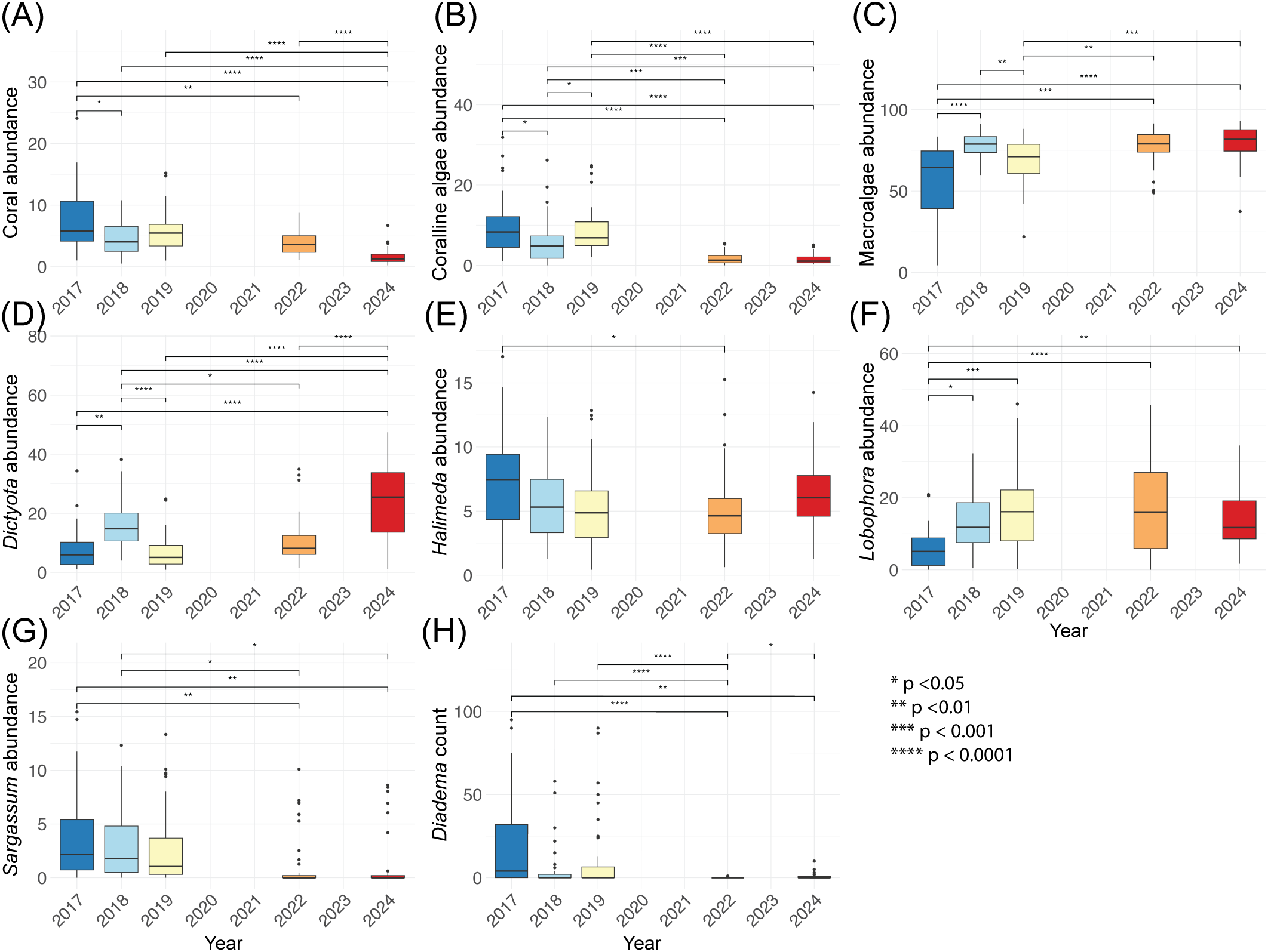 Box plots showing abundance changes from 2017 to 2024. (A)Coral decreases. (B) Coralline algae decreases. (C) Macroalgae increases. (D) Dictyotarises, mainly after 2022. (E) Halimeda stable with a slight 2022 decrease.(F) Lobophora was lowest in 2017. (G) Sargassum declines after 2020. (H) Diadema count drops in 2022, and recovers in 2024. Statistical significance marked with asterisks.