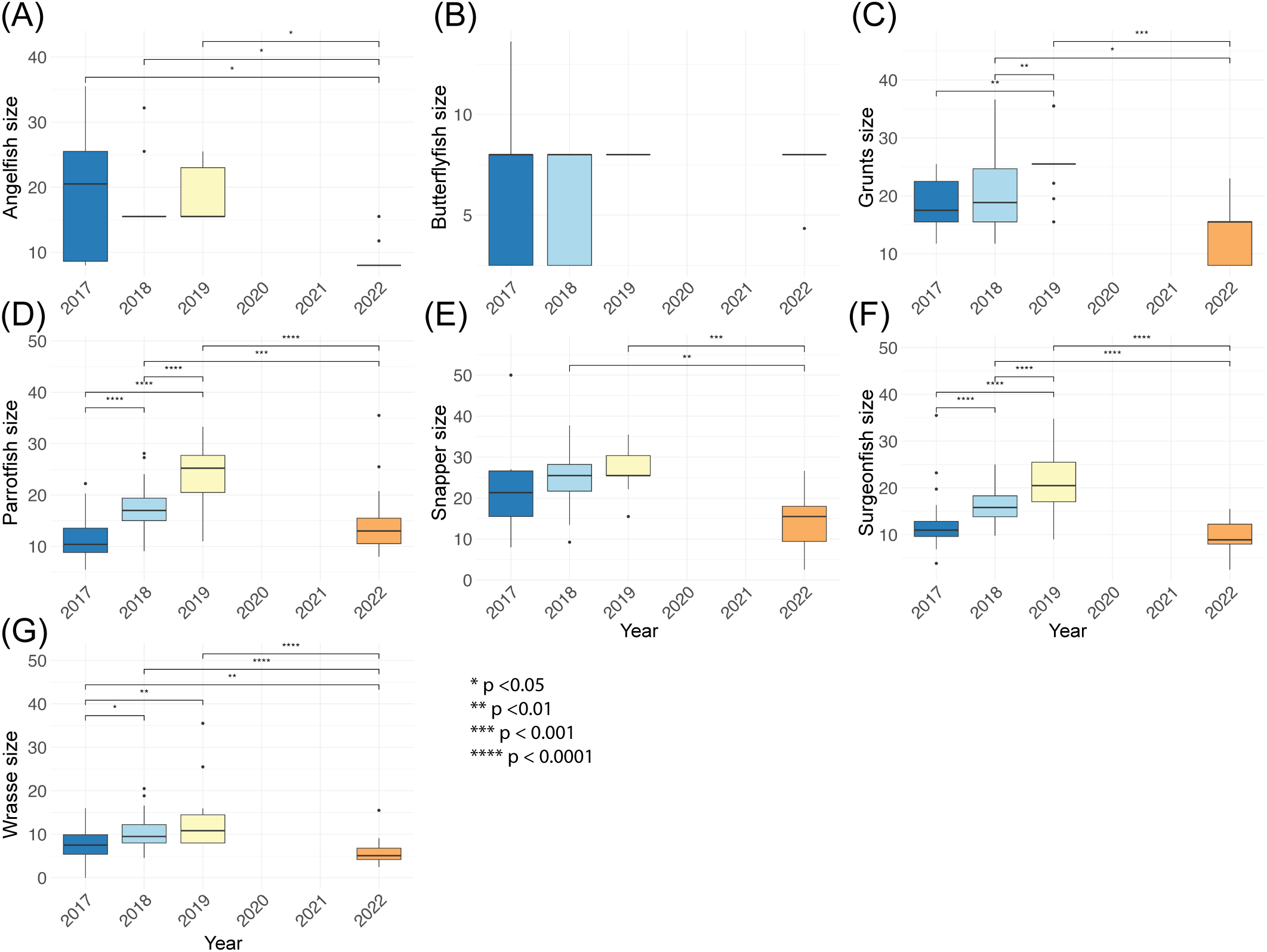Box plots showing the size changes for various fish species from 2017 to 2022. Each plot represents a different species: Angelfish (A), Butterflyfish (B), Grunts (C), Parrotfish (D), Snapper (E), Surgeonfish (F), and Wrasse (G). Significant differences between years are indicated by asterisks, where more asterisks denote higher statistical significance. The plots highlight variations in median sizes over the years, with noticeable differences in certain species, especially in 2022.