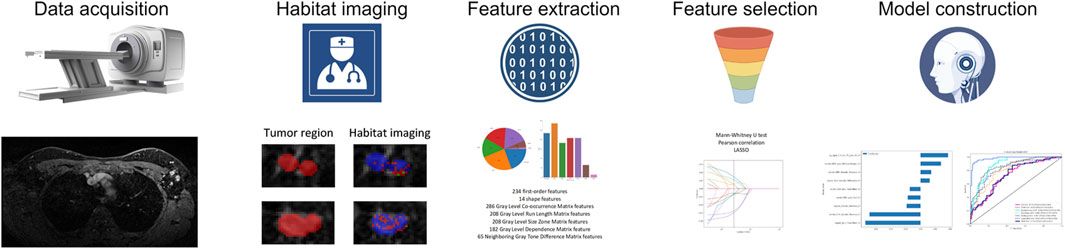 Medical imaging workflow depicted in five stages: data acquisition with an MRI machine, habitat imaging symbolized by a clinician icon, feature extraction with binary code, feature selection using a funnel icon, and model construction indicated by a robotic head. Includes MRI images of tumor regions, graphical charts of features, and statistical plots for model analysis.
