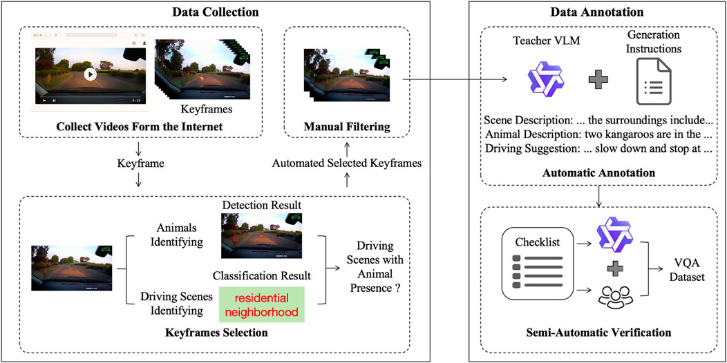 Flowchart illustrating a data processing system divided into two sections: Data Collection and Data Annotation. Data Collection involves collecting internet videos, extracting keyframes, filtering them manually, and detecting animals and driving scenes, categorized as