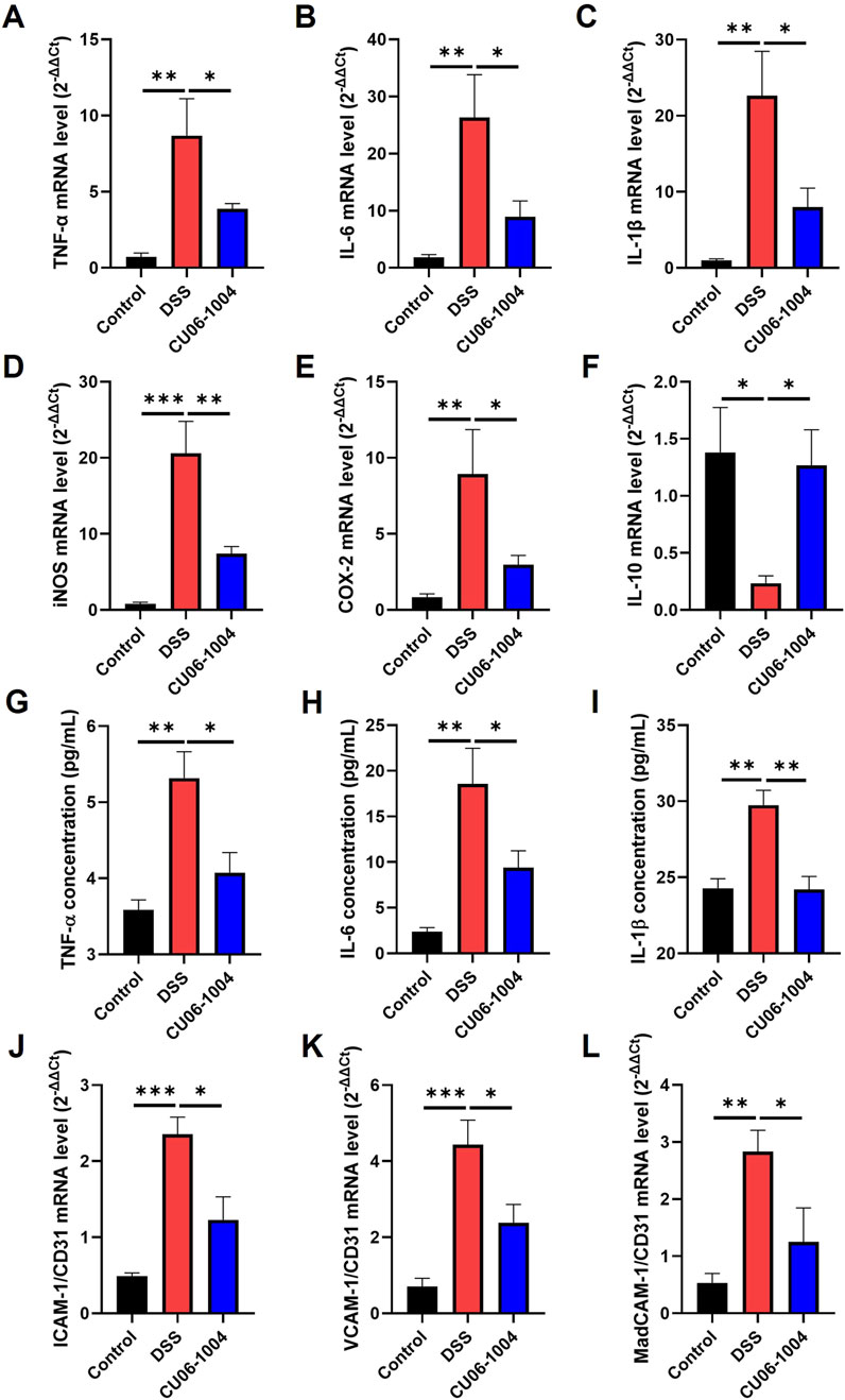 Bar graphs labeled A to L compare mRNA levels and cytokine concentrations across three groups: Control, DSS, and CU06-1004. Each graph shows significant increases in DSS compared to Control, with reductions in CU06-1004. Statistics are indicated with asterisks, showing significance levels.