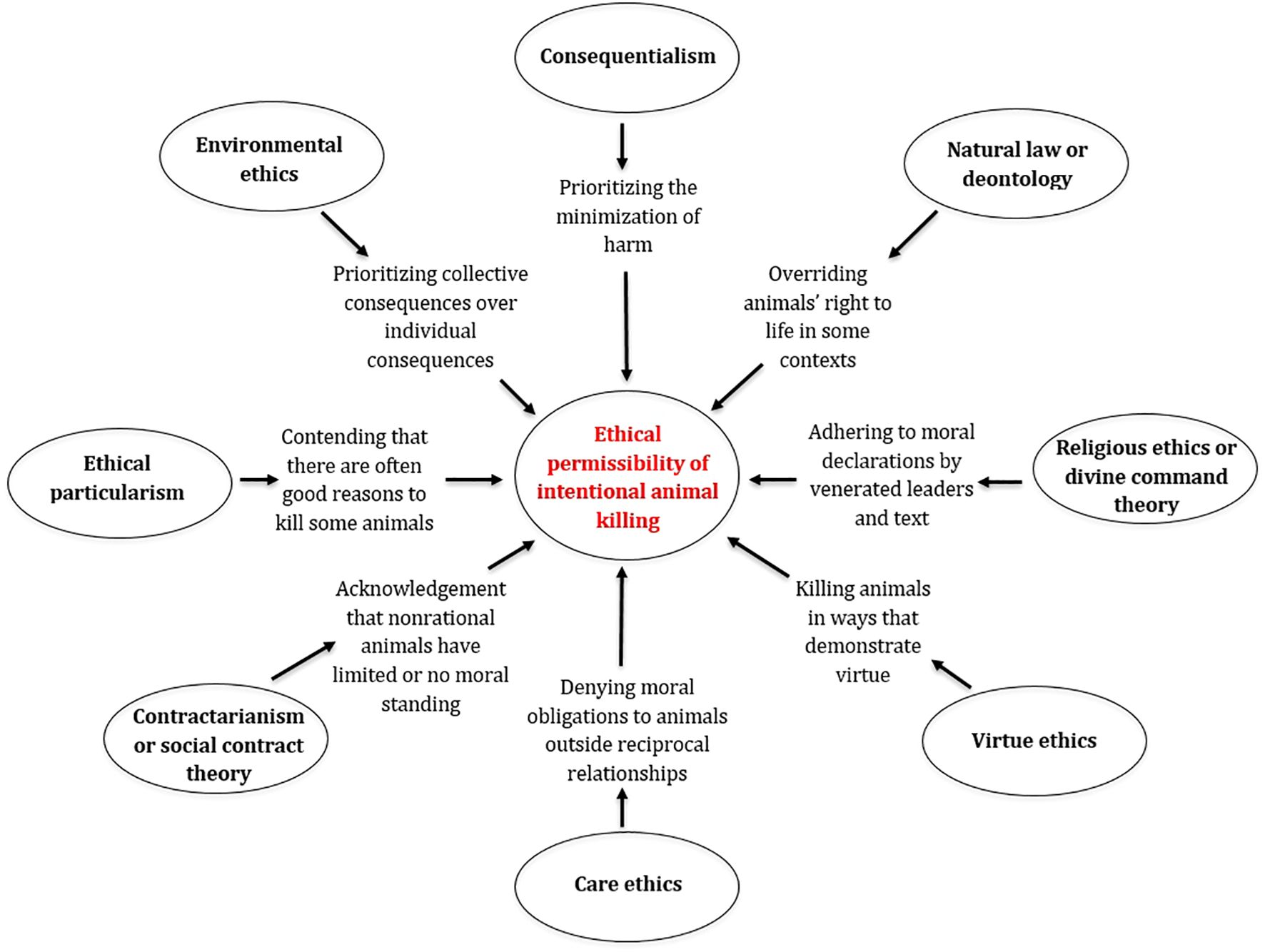 Flowchart depicting the ethical permissibility of intentional animal killing at the center, surrounded by seven ethical theories: Consequentialism, Natural law or deontology, Religious ethics or divine command theory, Virtue ethics, Care ethics, Contractarianism or social contract theory, and Ethical particularism. Each theory connects to reasons justifying animal killing, such as prioritizing minimizing harm, overriding animals' right to life, adhering to moral declarations, demonstrating virtue, denying moral obligations, acknowledging animals' limited moral standing, and prioritizing collective consequences.