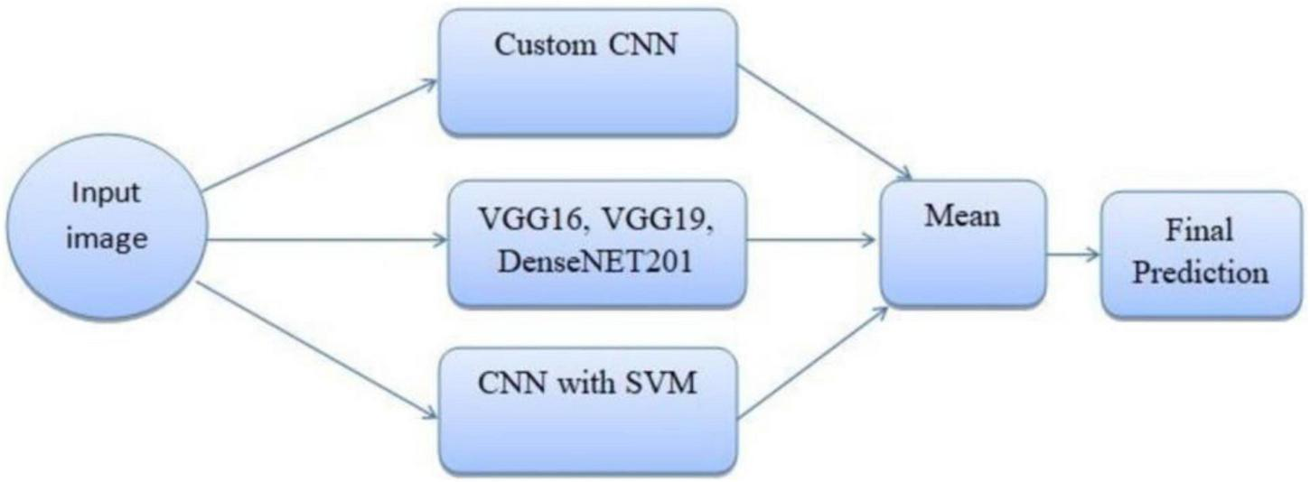 Flowchart showing image processing stages. An input image is processed through three paths: Custom CNN, VGG16/VGG19/DenseNET201, and CNN with SVM. Outputs are averaged to make the final prediction.