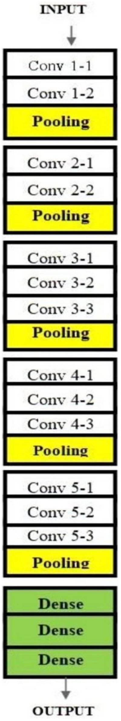 Flowchart of a neural network model. Layers include five convolutional blocks. Each block has multiple convolution layers followed by a pooling layer. After convolutional blocks, there are three dense layers leading to the output.