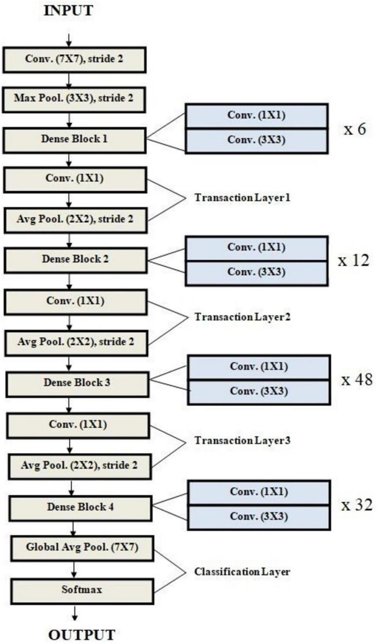 Flowchart of a neural network architecture starting with an input layer, followed by a convolution layer of size seven by seven and stride two. It includes a max pooling layer, dense blocks, and multiple transition and convolution layers, which repeat in blocks x6, x12, x48, and x32. The architecture concludes with a global average pooling layer, a classification layer, and a softmax activation leading to the output.