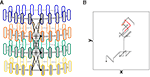 www.frontiersin.org