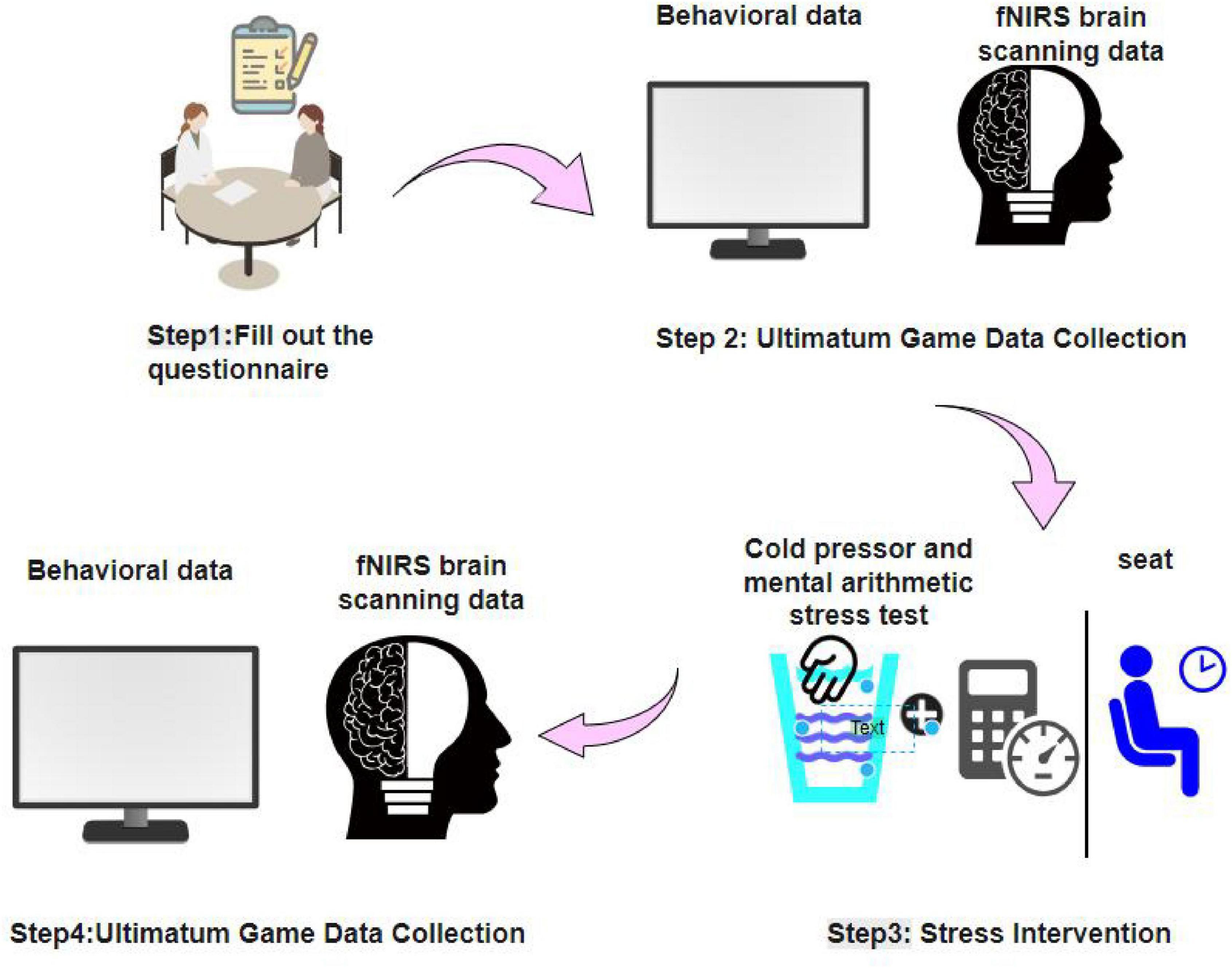 Flowchart illustrating a research process: Step 1 involves completing a questionnaire, represented by two people sitting at a table. Step 2, the Ultimatum Game Data Collection, shows data represented by a computer screen and brain diagram labeled “behavioral data” and “fNIRS brain scanning data”. Step 3, a Stress Intervention, shows a cold pressor and mental arithmetic stress test with icons of a hand in water, a calculator, clock, and a seating icon. Step 4 repeats the data collection with a computer screen and brain diagram. Arrows connect each step sequentially.