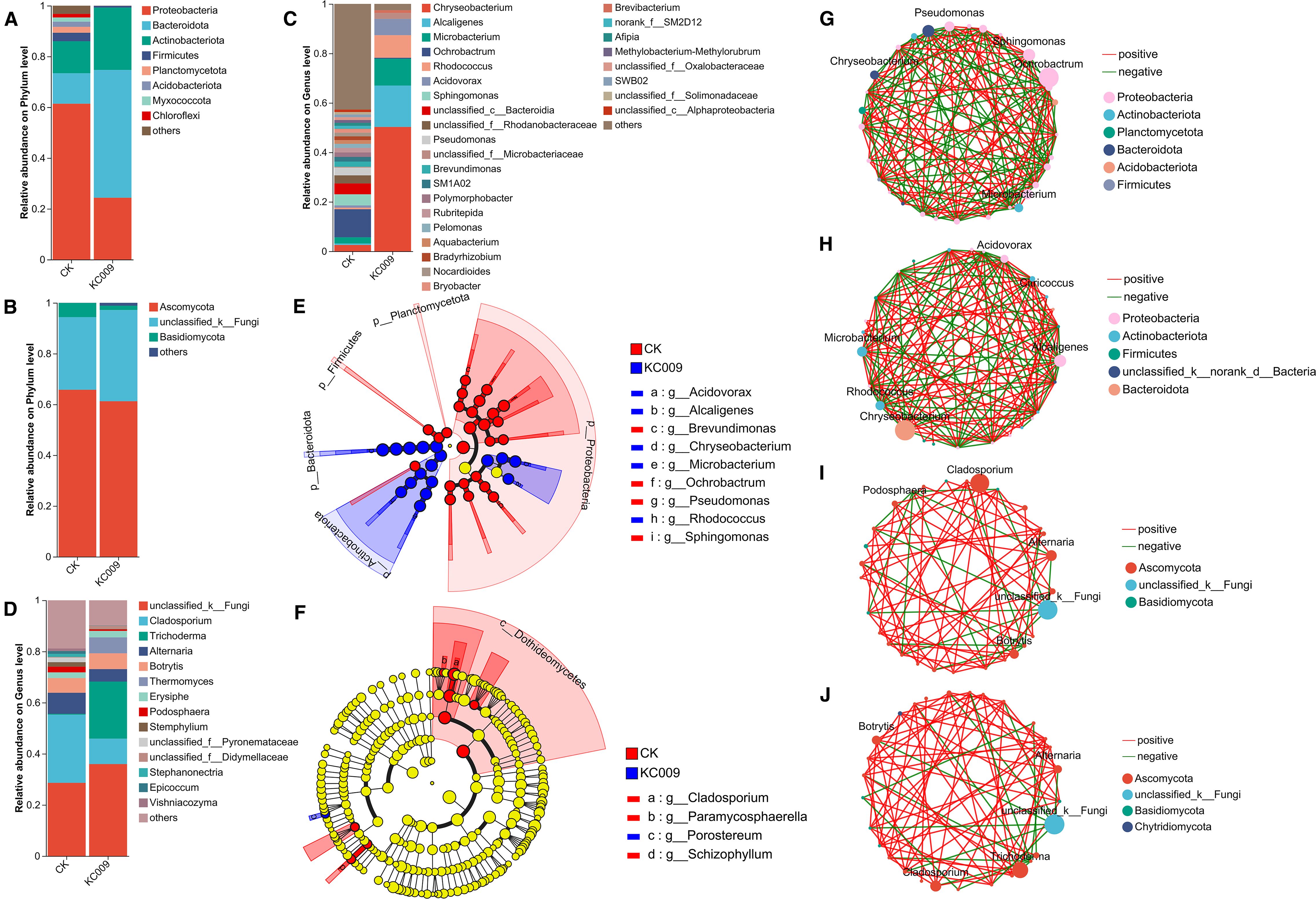 This image contains several microbiome analysis charts and network diagrams. Panels A and B show stacked bar charts presenting the relative abundance of bacteria and fungi at the phylum level for samples CK and KC009. Panels C and D depict similar bar charts at the genus level. Panel E features a cladogram illustrating associations between different bacterial phyla. Panel F shows a cladogram for fungi. Panels G, H, I, and J display network graphs indicating positive and negative interactions among various microbial taxa, differentiated by color-coded phyla or groups.