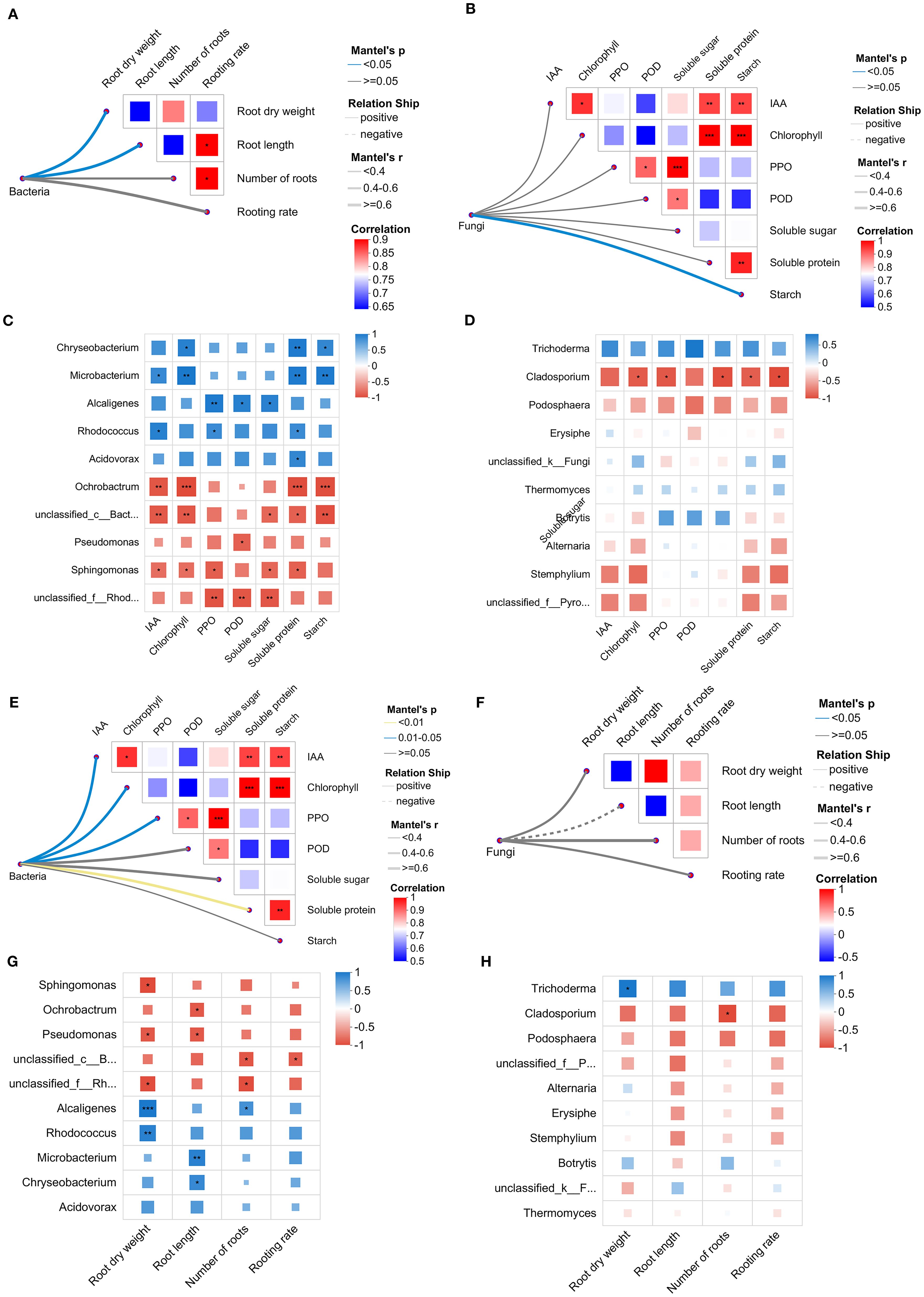 Scatterplot matrices depicting the relationships and correlations among bacterial and fungal elements with various plant growth metrics such as root dry weight, root length, number of roots, and rooting rate. Panels A and F display correlations involving bacteria and fungi with plant metrics, showing significant Mantel's p-values with correlations represented by color intensity. Panels B and E highlight correlations between various biochemical parameters like IAA, chlorophyll, PPO, POD, soluble sugars, soluble protein, starch, and their interactions with bacteria and fungi. Panels C, D, G, and H further break down bacterial and fungal species' individual correlations with distinct plant growth factors and biochemical metrics. Color gradient indicates correlation strength.