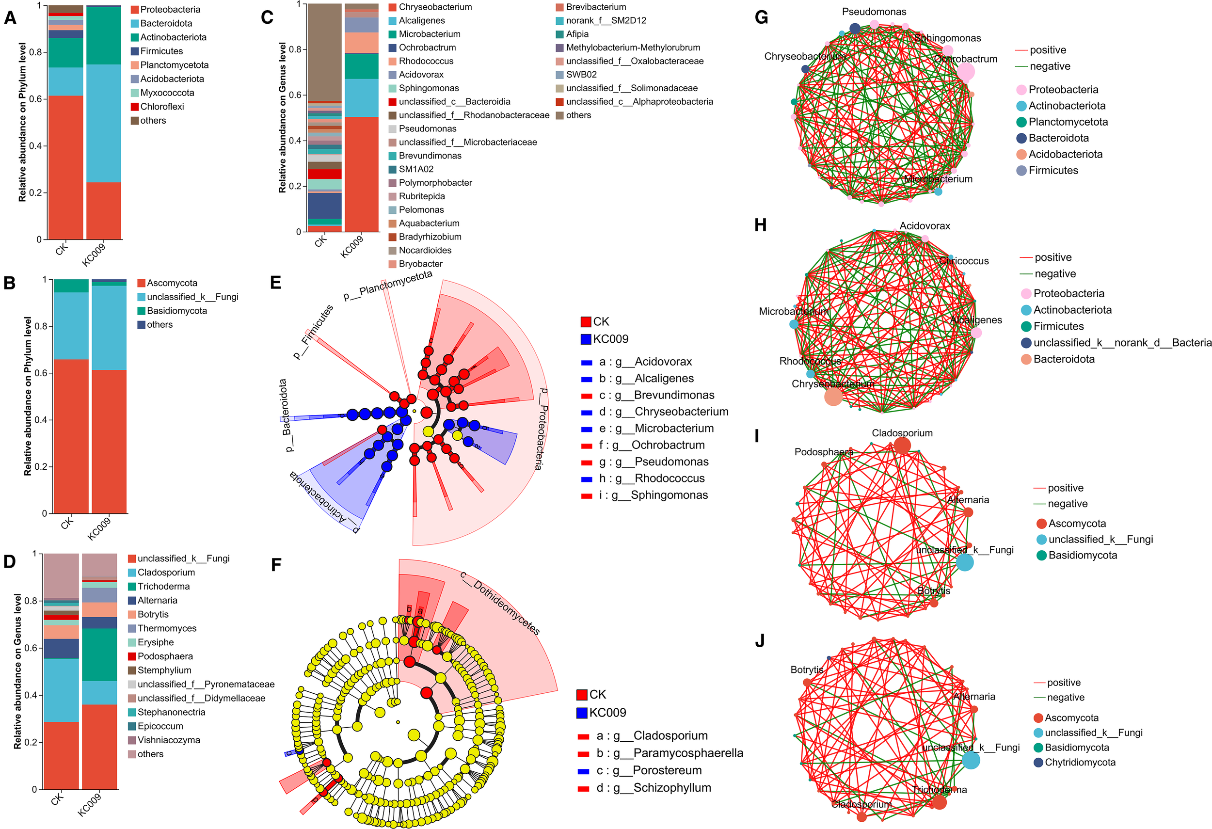 This image contains several microbiome analysis charts and network diagrams. Panels A and B show stacked bar charts presenting the relative abundance of bacteria and fungi at the phylum level for samples CK and KC009. Panels C and D depict similar bar charts at the genus level. Panel E features a cladogram illustrating associations between different bacterial phyla. Panel F shows a cladogram for fungi. Panels G, H, I, and J display network graphs indicating positive and negative interactions among various microbial taxa, differentiated by color-coded phyla or groups.