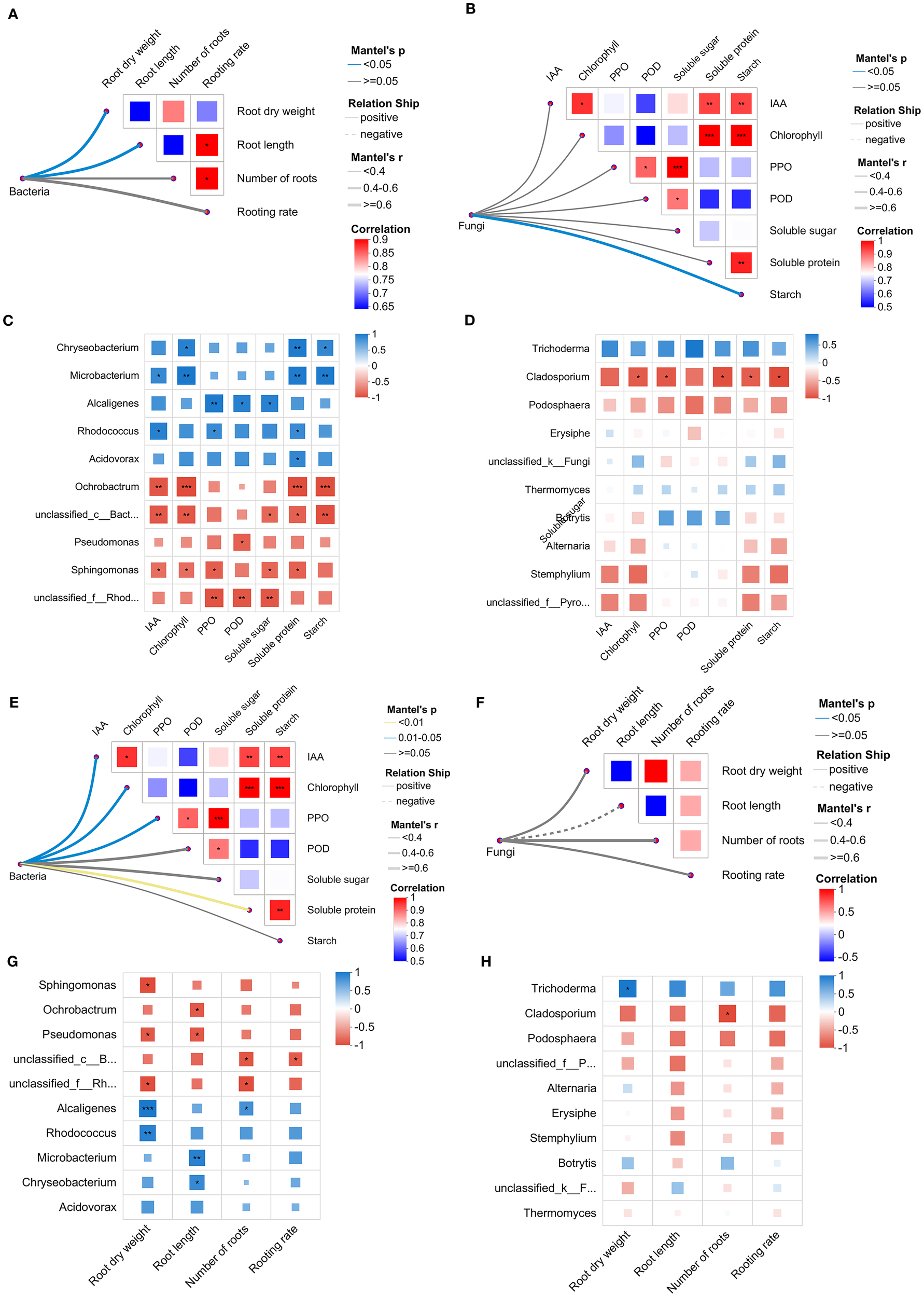 Scatterplot matrices depicting the relationships and correlations among bacterial and fungal elements with various plant growth metrics such as root dry weight, root length, number of roots, and rooting rate. Panels A and F display correlations involving bacteria and fungi with plant metrics, showing significant Mantel's p-values with correlations represented by color intensity. Panels B and E highlight correlations between various biochemical parameters like IAA, chlorophyll, PPO, POD, soluble sugars, soluble protein, starch, and their interactions with bacteria and fungi. Panels C, D, G, and H further break down bacterial and fungal species' individual correlations with distinct plant growth factors and biochemical metrics. Color gradient indicates correlation strength.