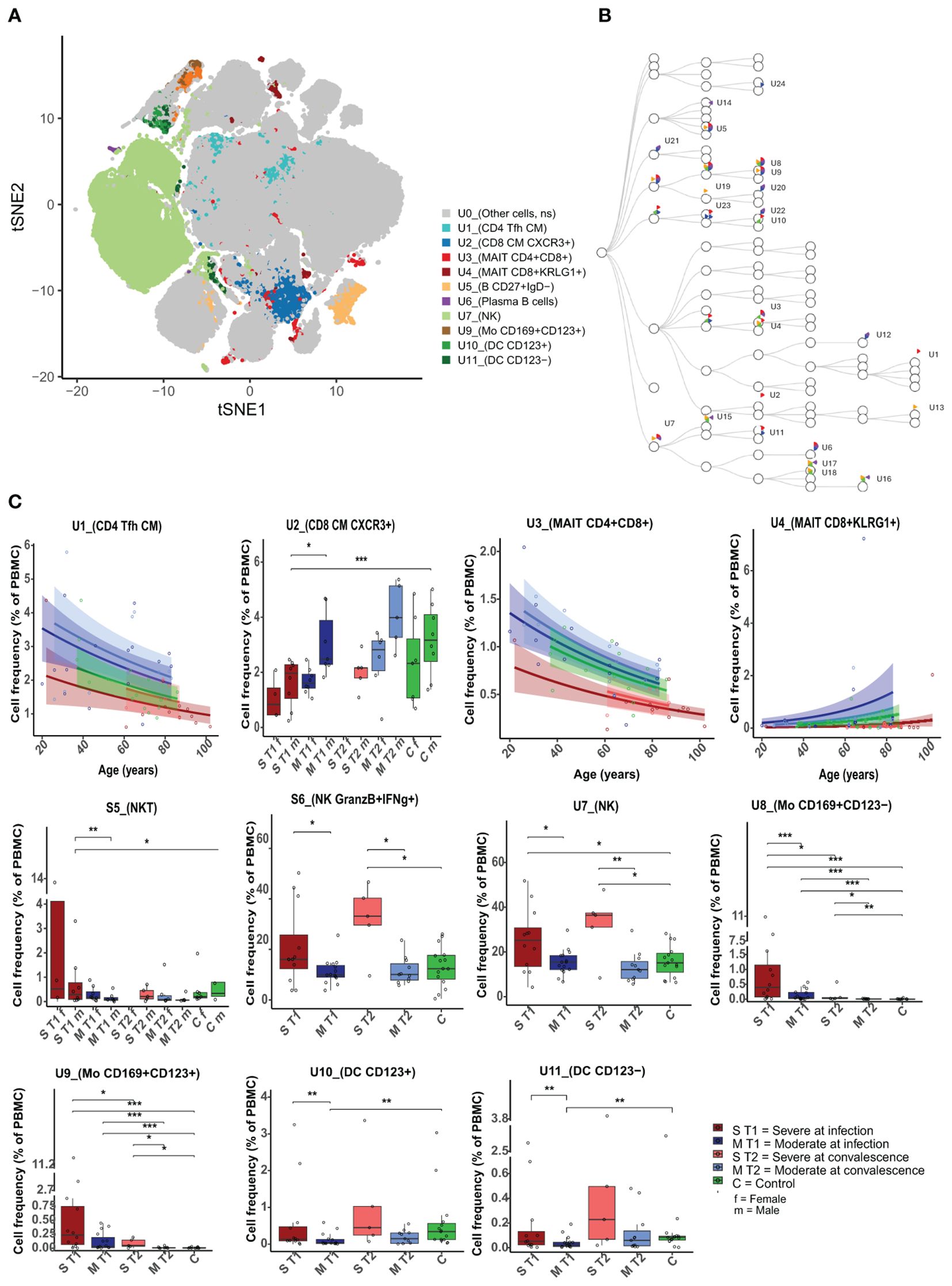 Panel A shows a t-SNE plot with cell clusters in different colors, labeled U0 to U11. Panel B presents a lineage tree diagram with nodes corresponding to cell types. Panel C consists of multiple graphs displaying cell frequency percentages across age, with box plots comparing groups labeled S, M, T, and C, differentiated by infection severity and recovery stage. The x-axis of these graphs represents age or infection stages, and the y-axis shows cell frequency as a percentage of PBMCs. Statistical significance is indicated with asterisks.