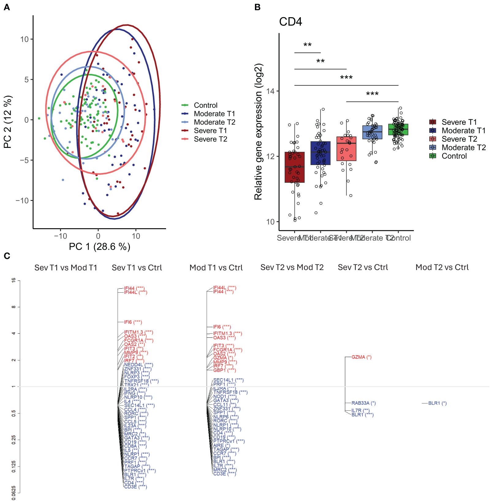 A three-part figure includes: A) A PCA plot displaying clusters for control, moderate T1, moderate T2, severe T1, and severe T2 groups, differentiated by colored ellipses. B) A box plot showing relative CD4 gene expression with statistically significant differences between groups indicated by asterisks. C) A graph highlighting differential gene expression between various conditions, with gene names and significance levels labeled.