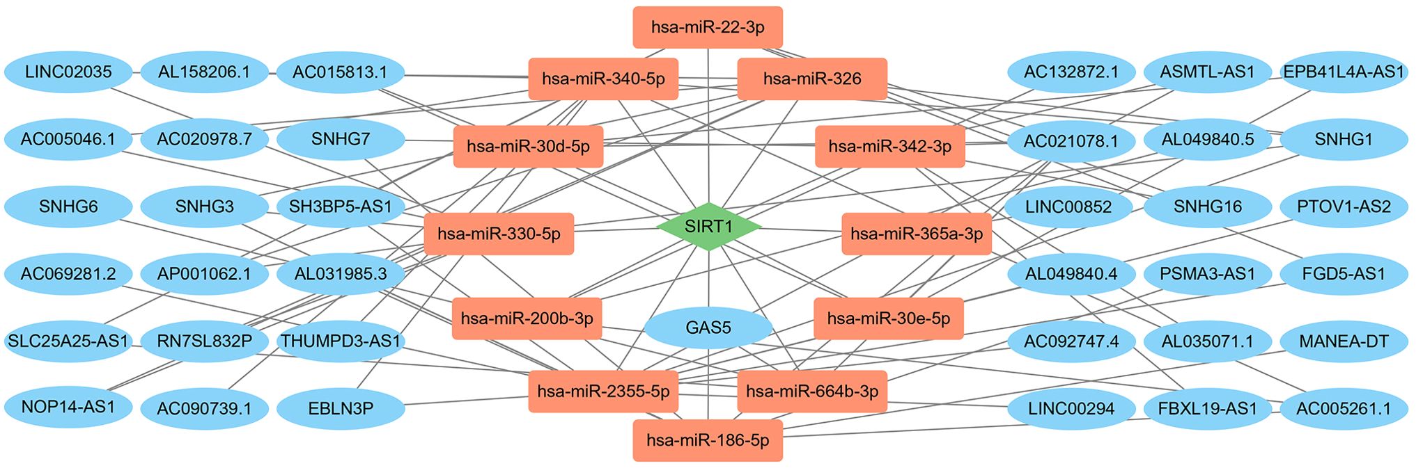 Network diagram illustrating interactions between genes and microRNAs. Two central green nodes labeled SIRT1 and GAS5 are connected to multiple orange nodes representing various hsa-miR microRNAs, and blue nodes representing gene names like LINC02035 and AC158206.1. Lines indicate connections, showing relationships and interactions among these elements.