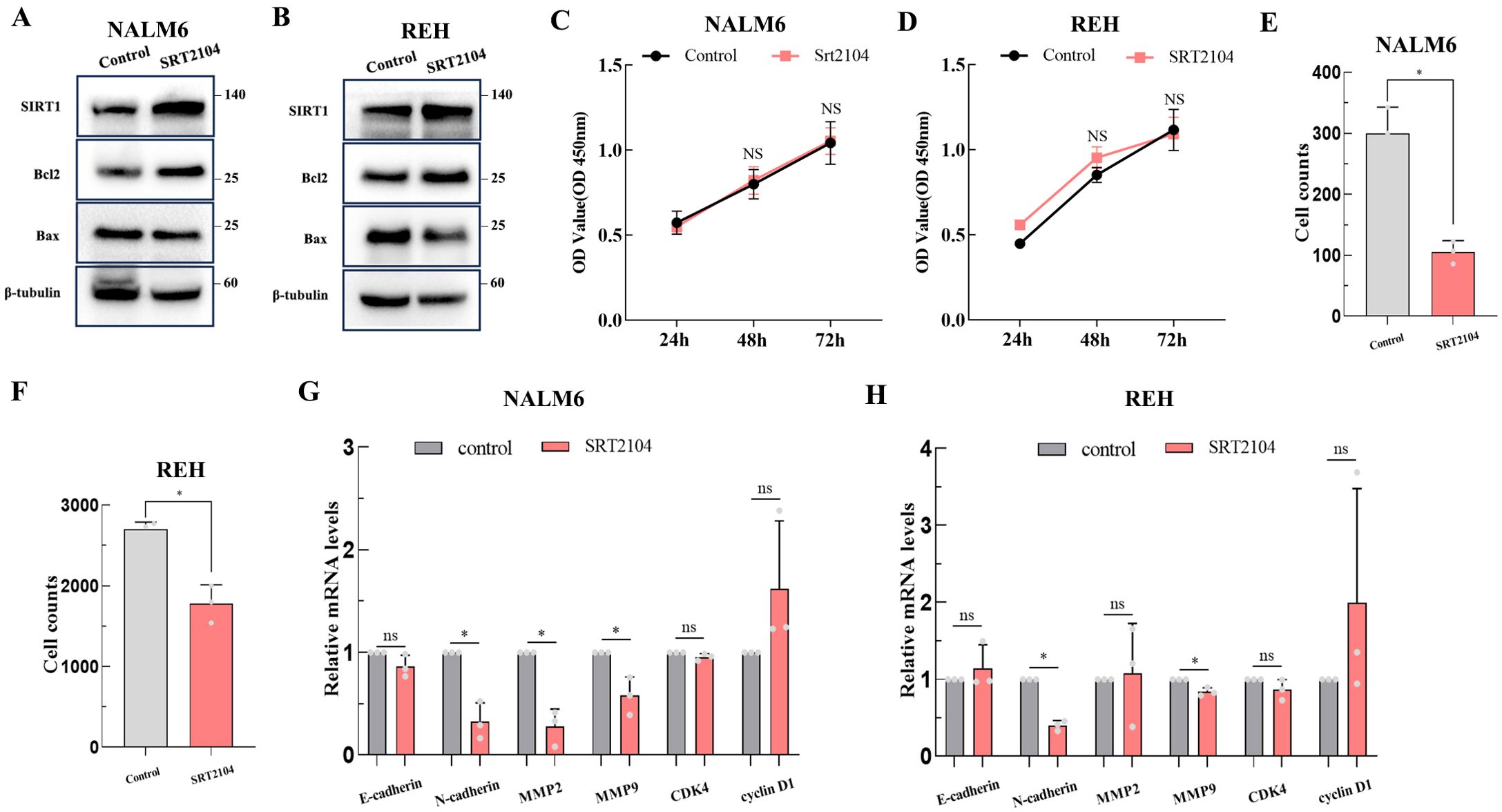 Western blot and bar charts illustrate the effects of SRT2104 on NALM6 and REH cell lines. Panels A and B show SIRT1, Bcl2, Bax, and β-tubulin protein levels. Panels C and D depict OD values over 72 hours, showing non-significant changes. Panels E and F display significant reductions in cell counts by SRT2104. Panels G and H present mRNA levels, with significant changes in N-cadherin, MMP2, and MMP9 for NALM6, and N-cadherin for REH. Statistically significant differences are marked with an asterisk.