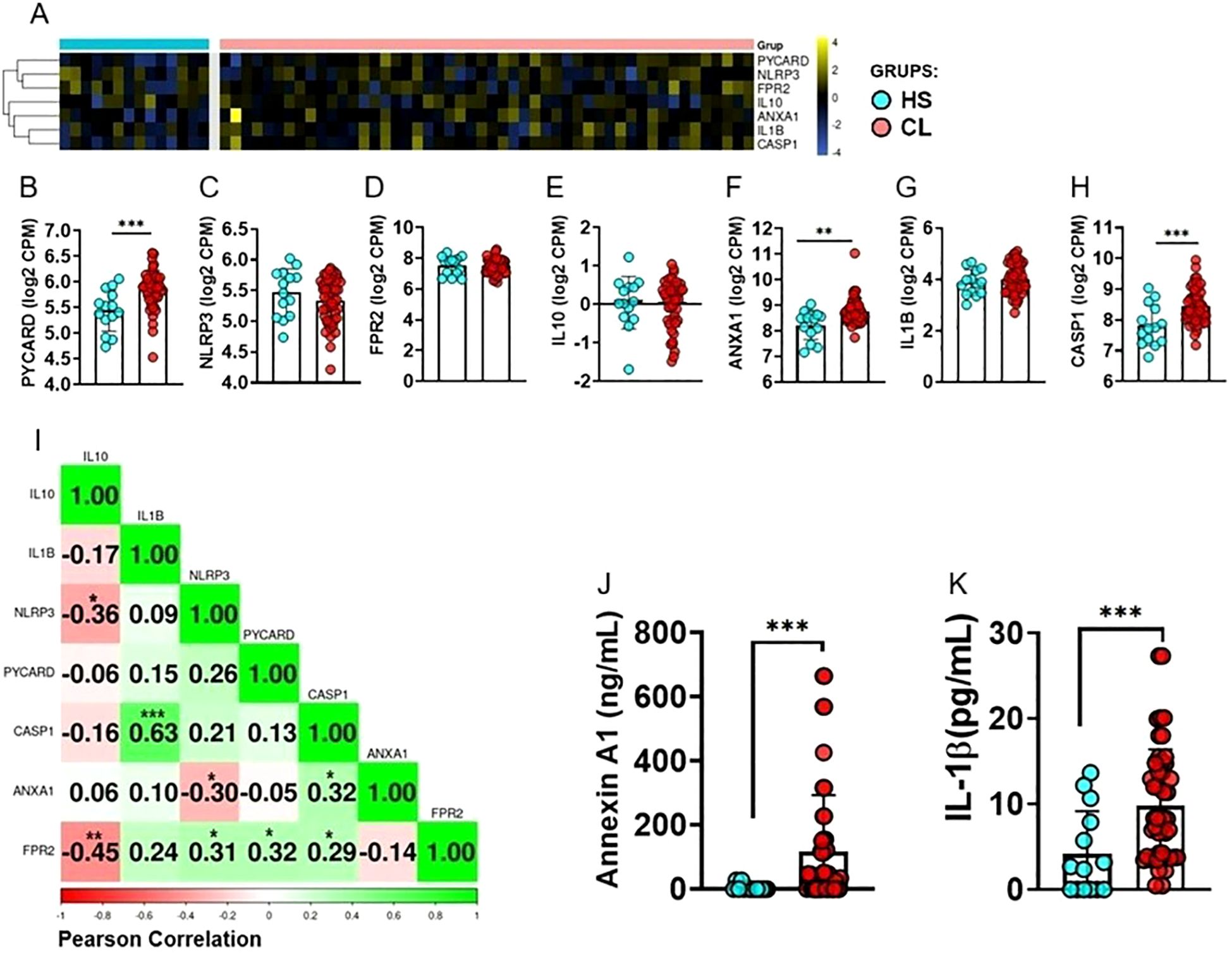 Heatmap (A) showing gene expression levels with hierarchical clustering for groups HS (blue) and CL (red). Bar graphs (B-H) compare expression of PYCARD, NLRP3, FPR2, IL10, ANXA1, IL1B, and CASP1 between groups, indicating significant differences. Correlation matrix (I) displays Pearson correlation coefficients among variables, with positive and negative correlations highlighted. Scatter plots (J, K) show significant increases in levels of Annexin A1 and IL-1β in CL compared to HS. Statistical significance denoted by asterisks.