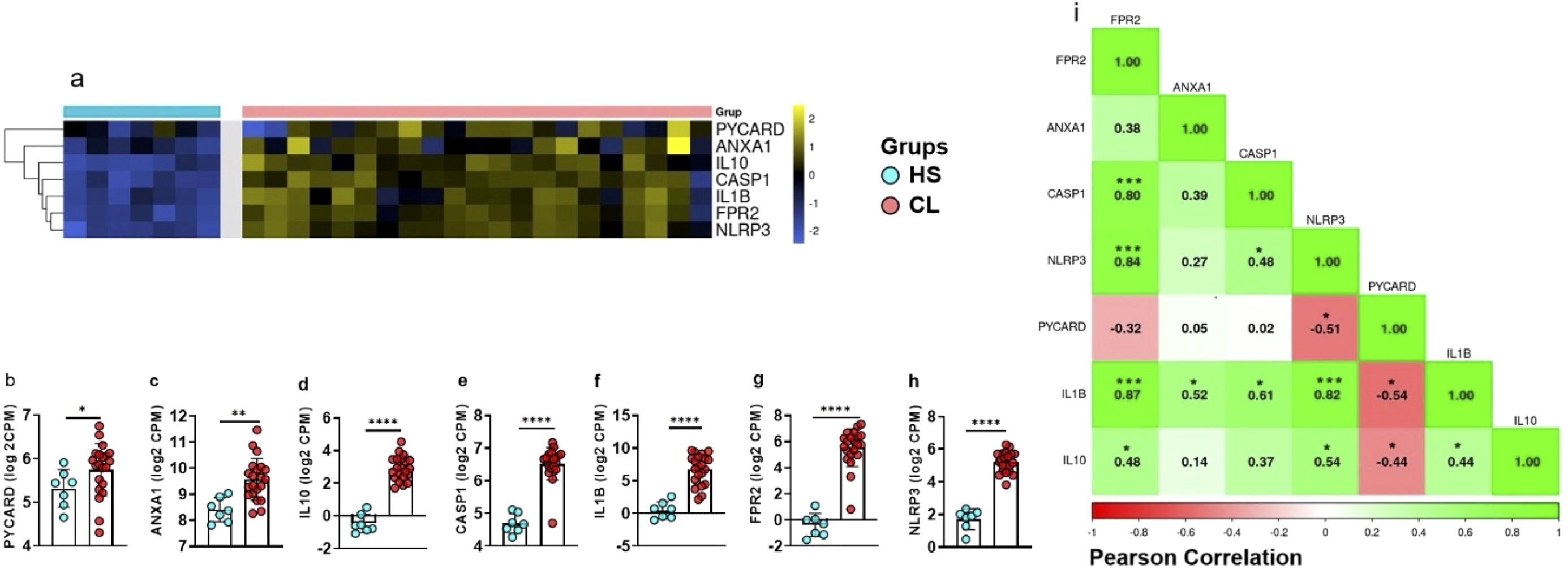 Heatmap and correlation analysis of gene expression data comparing HS and CL groups, with genes listed as PYCARD, ANXA1, IL10, CASP1, IL1B, FPR2, and NLRP3. Heatmap colors range from blue to yellow. Scatter plots (B-H) show individual gene expression with significant differences indicated by asterisks. The correlation matrix (I) visualizes Pearson correlations with green for positive and red for negative values, including statistical significance marked by asterisks.