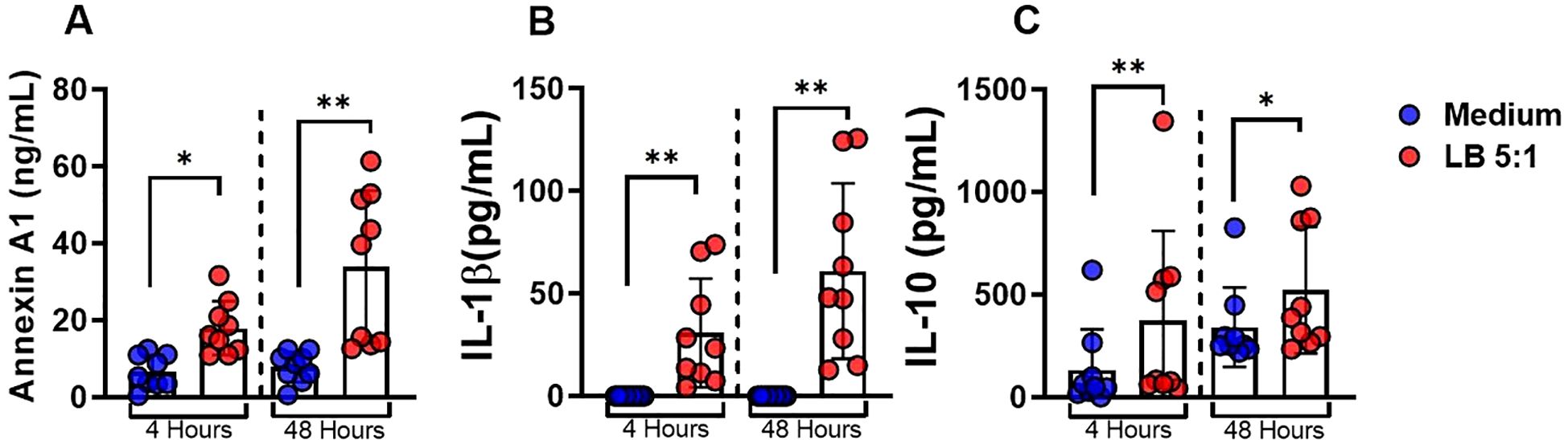 Bar graphs labeled A, B, and C show levels of Annexin A1, IL-1β, and IL-10, respectively. Data are depicted for two conditions: Medium (blue) and LB 5:1 (red) over 4 and 48 hours. Significant differences are indicated, with asterisks marking statistical significance (* p<0.05, ** p<0.01).