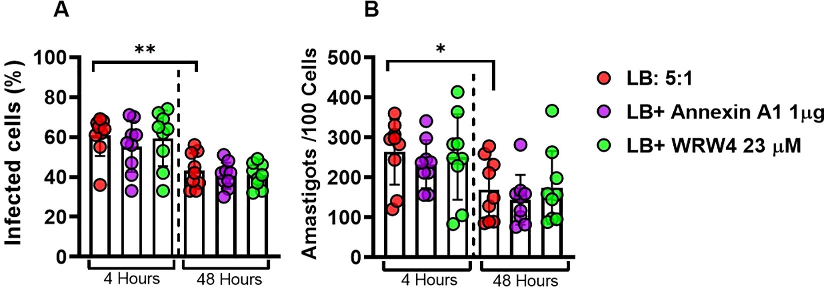 Bar graphs showing data for infected cells and amastigotes per 100 cells over 4 and 48 hours. Graph A displays percentages of infected cells, while graph B shows amastigote counts. Data is categorized into three treatments: LB: 5:1 (red), LB plus Annexin A1 1 microgram (purple), and LB plus WRW4 23 micromolar (green). Significant differences are indicated by asterisks.