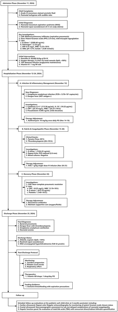 Flowchart detailing a medical treatment timeline from November 11 to November 25, 2024. It covers admission details, initial diagnoses, key investigations, and interventions for a newborn with neonatal conditions. Hospitalization phases include infection management, febrile phase, and recovery. The discharge phase notes diagnoses like bacterial pneumonia and anemia. A post-discharge protocol includes jaundice monitoring and feeding guidance. Follow-up involves a pediatric clinic check-up with cardiac, cranial, and hepatic evaluations. The chart includes dates, medical terms, and specific test values throughout.