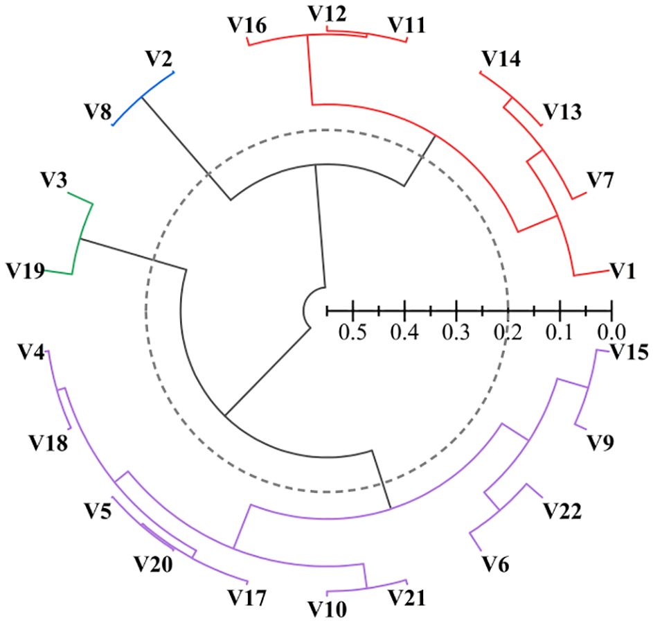 Circular phylogenetic tree diagram showing relationships among 22 variants labeled V1 to V22. Branches are color-coded: red, blue, green, and purple. A scale bar indicates relative distances.