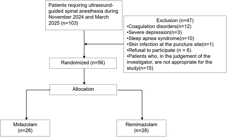 Flowchart depicting a study on ultrasound-guided spinal anesthesia. Among 103 patients, 47 were excluded due to factors like coagulation disorders (12), severe depression (3), sleep apnea (10), skin infection (1), refusal to participate (6), and inappropriateness (15). The remaining 56 were randomized into two groups: Midazolam (28) and Remimazolam (28).