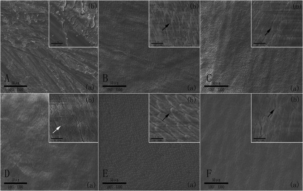 Six grayscale panels labeled A to F, each depicting microscopic images of a material surface at different magnifications. Each main image, marked with letter (a), shows a broad view of textures, while an inset labeled (b) provides a zoomed-in view highlighting finer structural details with arrows indicating specific features. Scale bars and magnification details are included in each panel.
