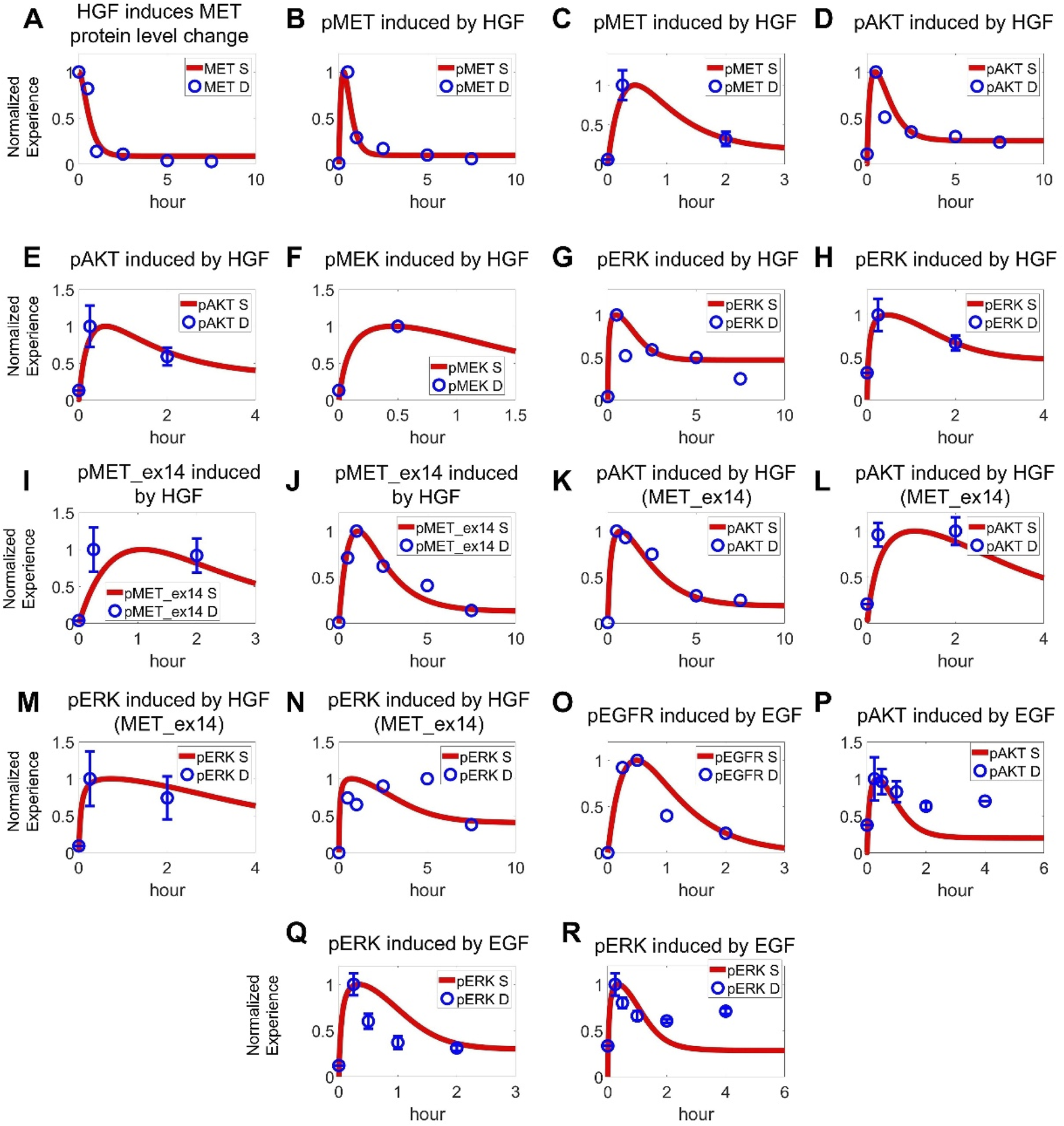 Graphs depict the effects of HGF and EGF on various protein levels over time. Panels A-R show changes in normalized expression for MET, pMET, pAKT, pMEK, pERK, and pEGFR, with separate lines for each condition. Each graph includes axes labeled with time in hours and normalized expression. Markers and lines are used to differentiate between conditions, aiding in understanding temporal dynamics.