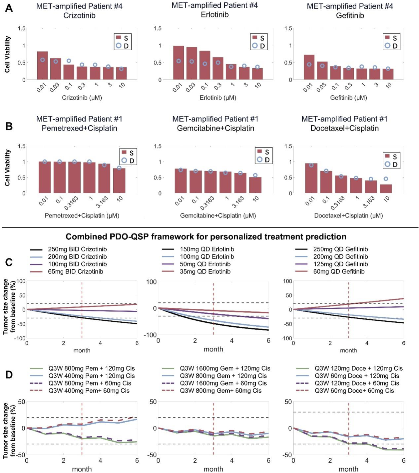 Bar charts show cell viability for MET-amplified patients using various drug treatments, with dose-response curves indicating drug efficacy. Line graphs predict tumor size changes over six months using a personalized treatment framework. Different drug regimens for Crizotinib, Erlotinib, and Gefitinib are compared in patients, illustrating the impact of individualized dosage on tumor reduction.