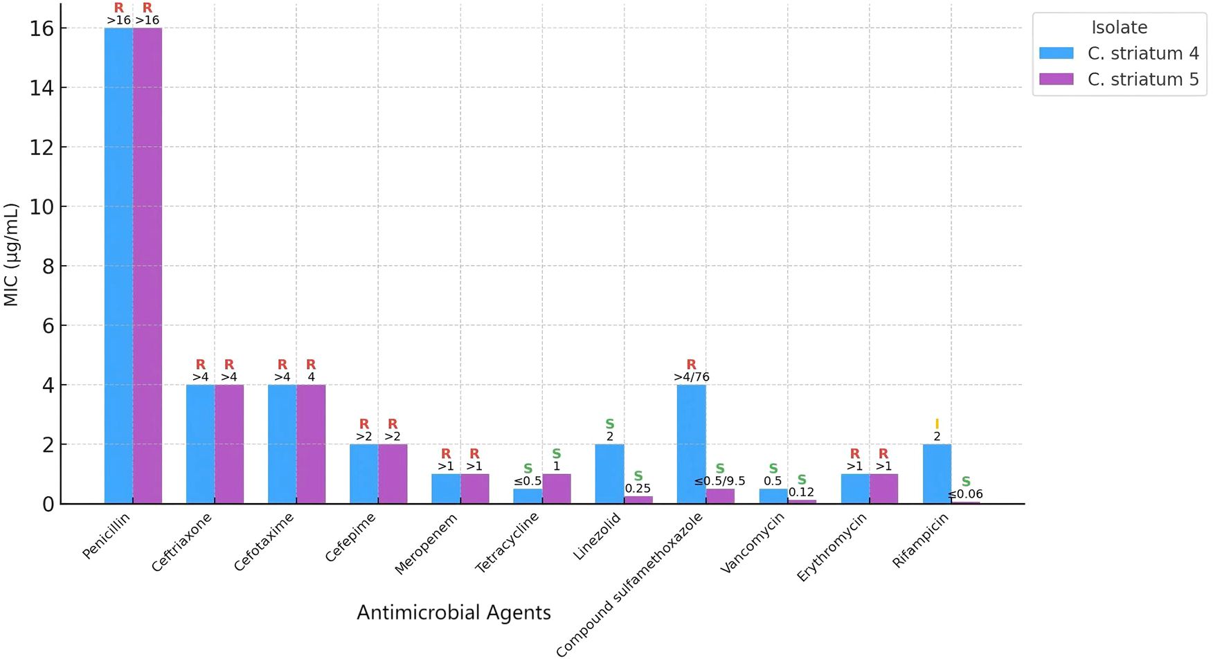 Bar chart showing Minimum Inhibitory Concentrations (MIC) in micrograms per milliliter for different antibiotics against two isolates, C. striatum 4 (blue) and C. striatum 5 (purple). Data indicates resistance (R) for penicillin, ceftriaxone, cefotaxime, and cefepime in both isolates, with C. striatum 4 resistant to vancomycin and compound sulfamethoxazole. Sensitivity (S) is noted for linezolid and erythromycin against C. striatum 5. Rifampicin is intermediate (I) for C. striatum 4.