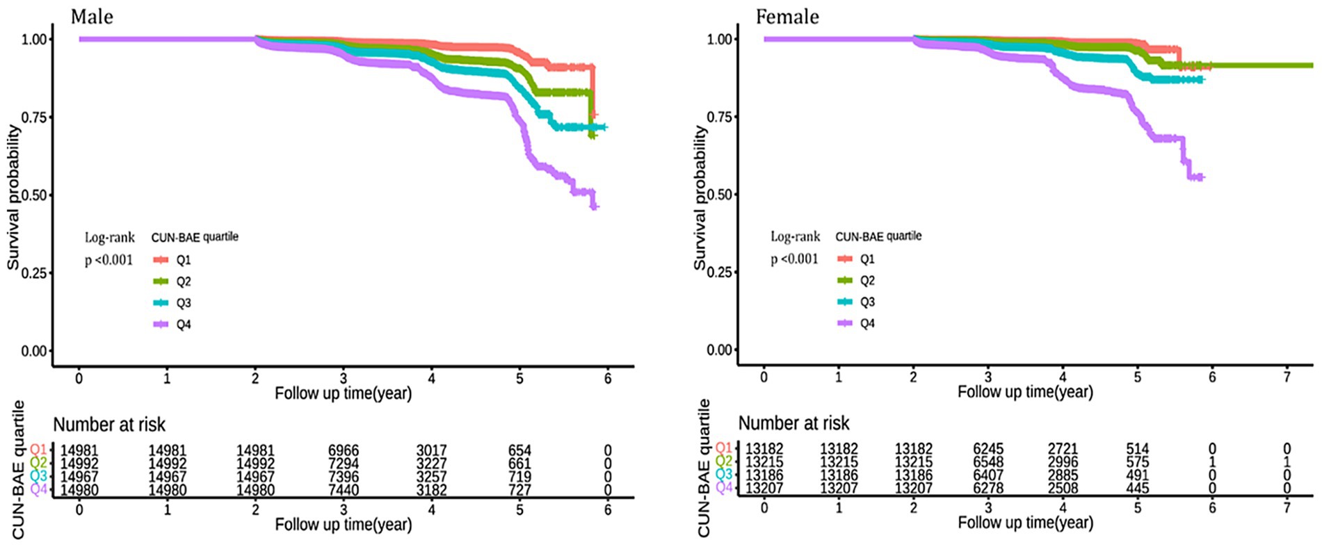 Survival probability graphs for males and females over a follow-up period of six to seven years. Both graphs showcase CUN-BAE quartiles (Q1 to Q4) with a significant log-rank test result (p < 0.001). Survival probability declines over time across quartiles, with a table below each graph showing the number at risk for each quartile at various time intervals.