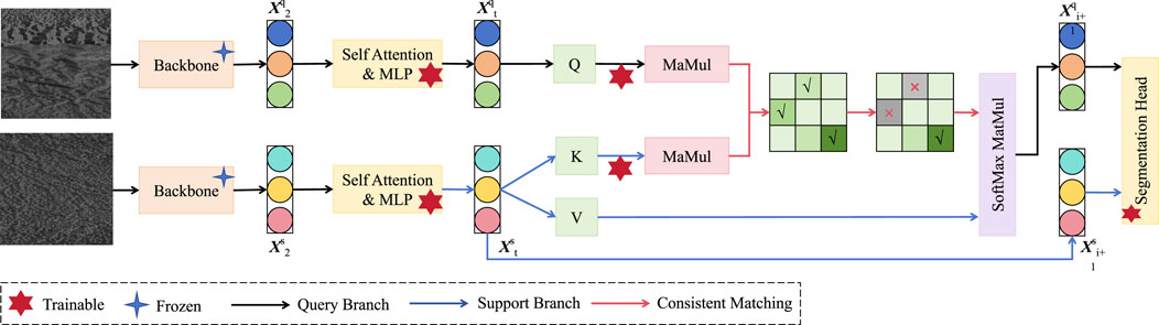 Diagram illustrating a neural network architecture for image segmentation. It shows two input images processed through a backbone network, followed by self-attention and a multi-layer perceptron (MLP). Key components include trainable and frozen modules, query and support branches, consistent matching, and softmax multiplication, culminating in a segmentation head.