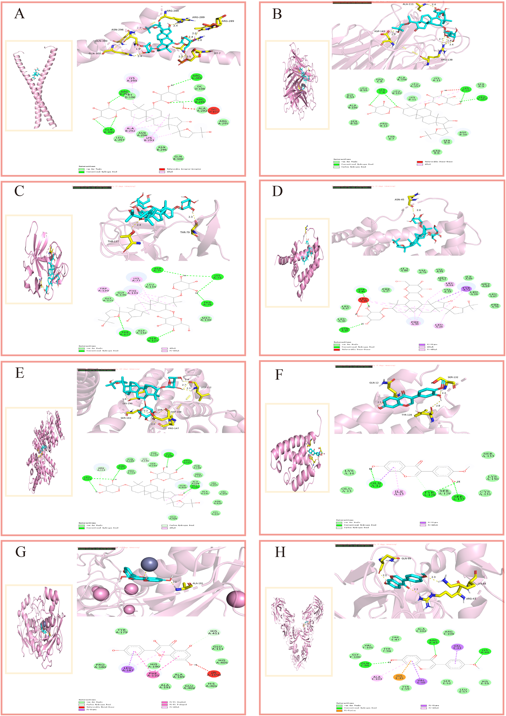 Molecular docking diagrams display interactions between ligands and proteins, highlighting specific amino acids involved in binding. Each panel, labeled A through H, shows a 3D structural representation of the protein-ligand complex along with a 2D diagram detailing the atomic interactions. Color coding indicates types of interactions, such as hydrogen bonds and hydrophobic contacts, enhancing visualization of the molecular dynamics.