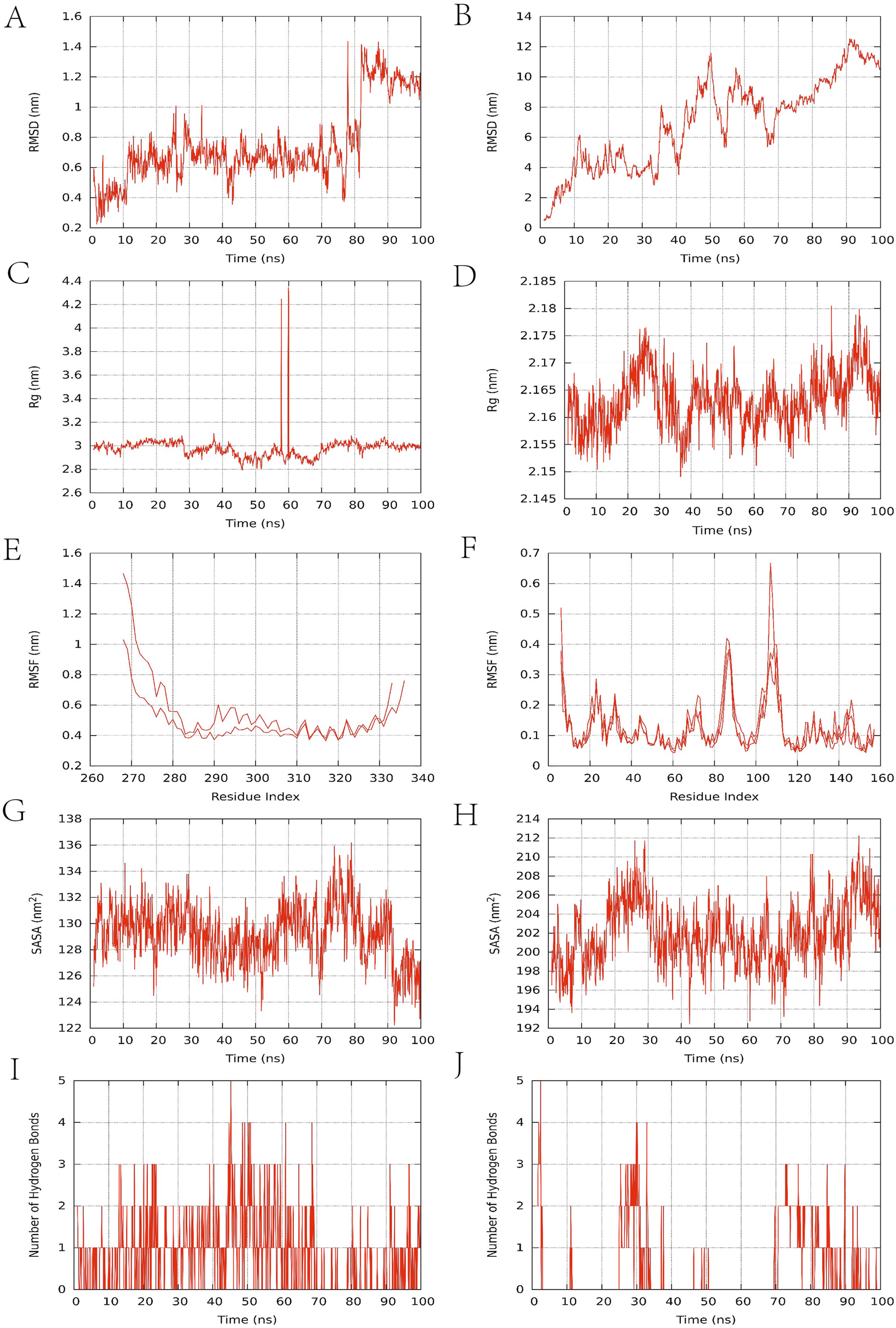 Plot A shows root mean square deviation (RMSD) fluctuating around 1.0 nanometer over 100 nanoseconds. Plot B depicts RMSD increasing from 2 to 12 nanometers. Plot C illustrates radius of gyration (Rg) stable around 3.2 nanometers with a spike at 50 nanoseconds. Plot D shows minor fluctuations in Rg around 2.165 nanometers. Plot E represents root mean square fluctuation (RMSF) decreasing across residue indices from 260 to 340. Plot F shows RMSF with peaks around residue indices 50 and 100. Plot G indicates solvent-accessible surface area (SASA) fluctuating around 130 nanometers squared. Plot H shows SASA fluctuating around 204 nanometers squared. Plot I depicts hydrogen bond counts varying between 1 and 5 over time. Plot J shows hydrogen bonds fluctuating below 5 across 100 nanoseconds.
