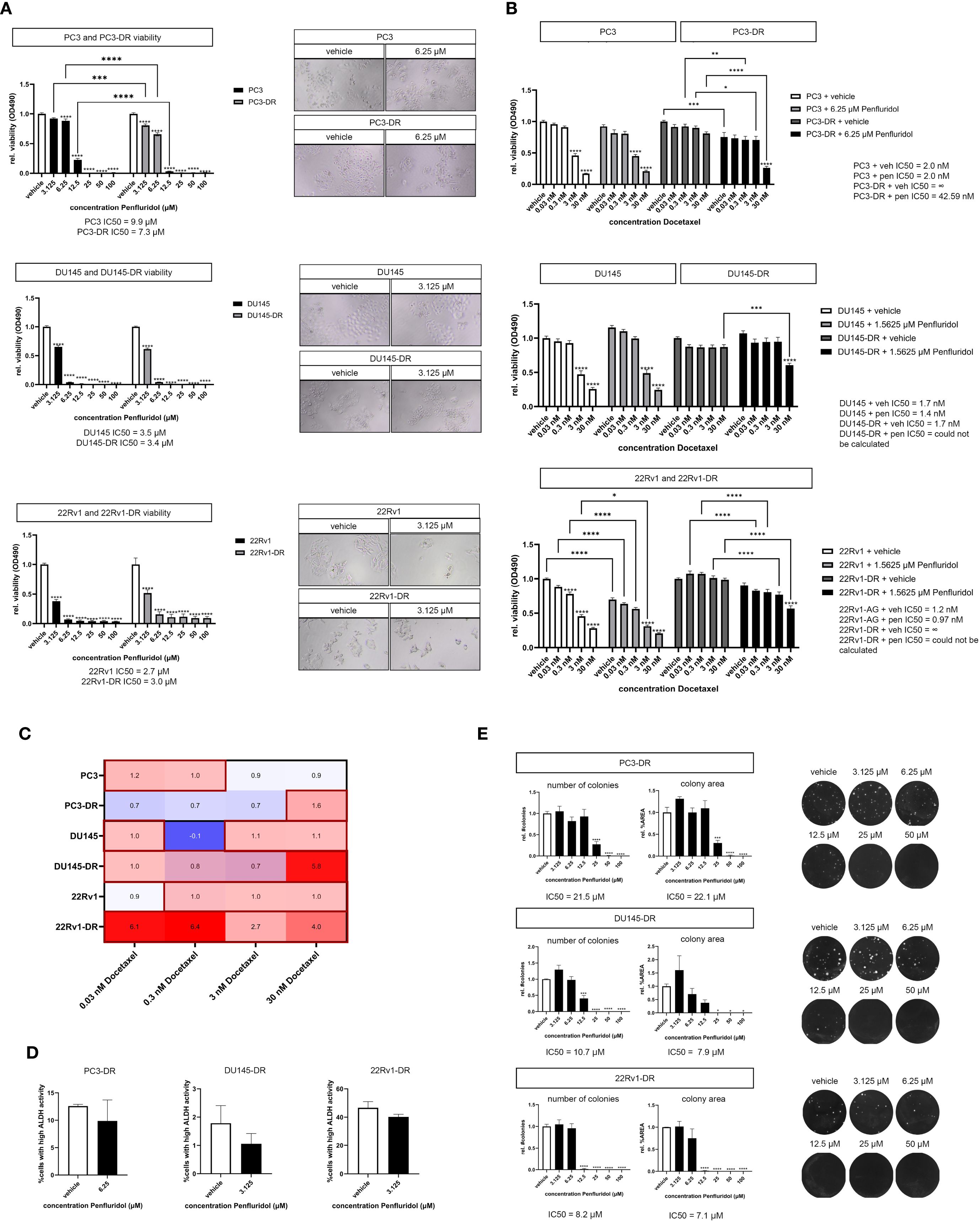 A composite scientific figure containing multiple panels labeled A to E. Panel A displays bar graphs and microscopic images showing cell viability and treatment concentrations for PC3, DU145, and 22Rv1 cell lines with and without drug resistance. Panel B features bar graphs illustrating the effect of Docetaxel concentration on cell viability for the same cell lines. Panel C shows a heatmap comparing cell viability across different Docetaxel concentrations. Panel D displays bar graphs of NADH intensity for drug-resistant cell lines. Panel E includes bar graphs and dot plots showing colony counts and areas, accompanied by images of colonies under various concentrations.